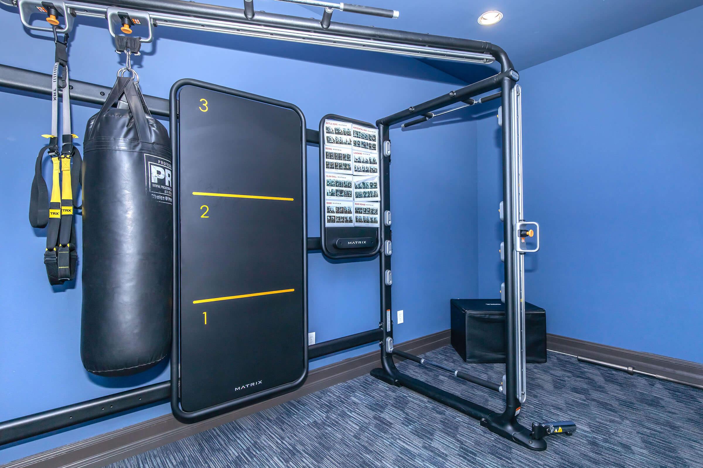 A well-equipped home gym featuring a black punching bag hanging on the wall, a sleek black fitness panel with numbered sections, and space for other workout equipment. The room has blue walls and a dark carpet, creating a modern and inviting workout environment.