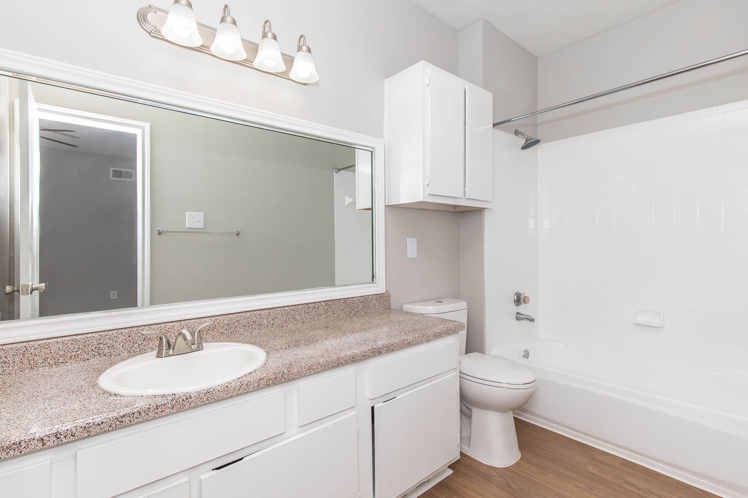 A modern bathroom featuring a double sink vanity with a granite countertop, a large mirror above the sinks, and a bathtub with a shower curtain. The walls are painted in a soft color, and there is a towel bar and a toilet in the space. The floor has a light wood appearance.