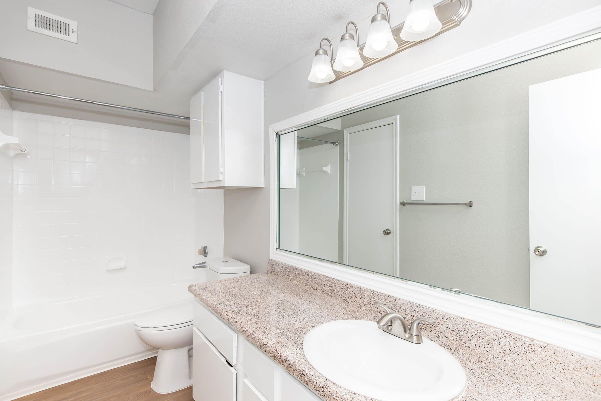 A bright, modern bathroom featuring a large mirror above a double sink, light-colored cabinetry, and a granite countertop. A bathtub with a shower curtain is on the left, and a toilet is nearby. The walls are painted in a soft color, and the space is well-lit with overhead lighting.