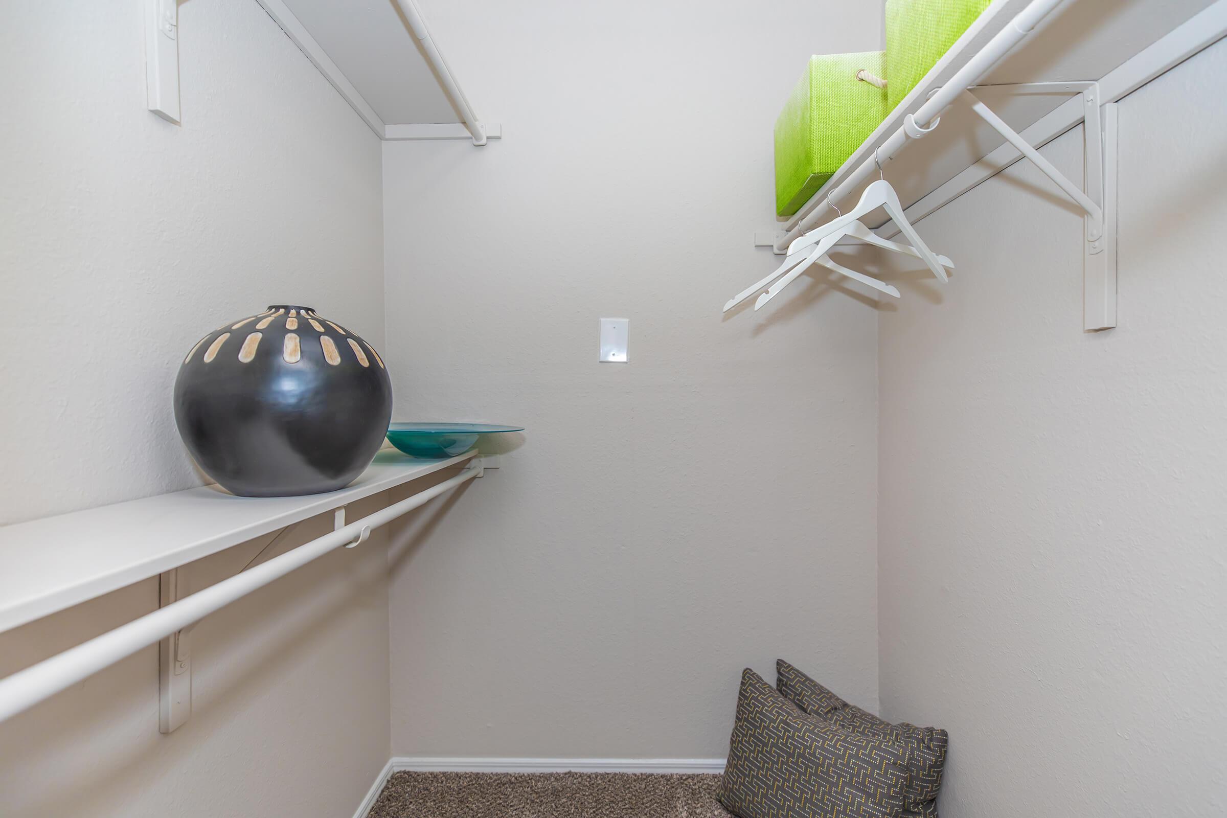 A carpeted bedroom closet with accessories at Rise Oak Creek.