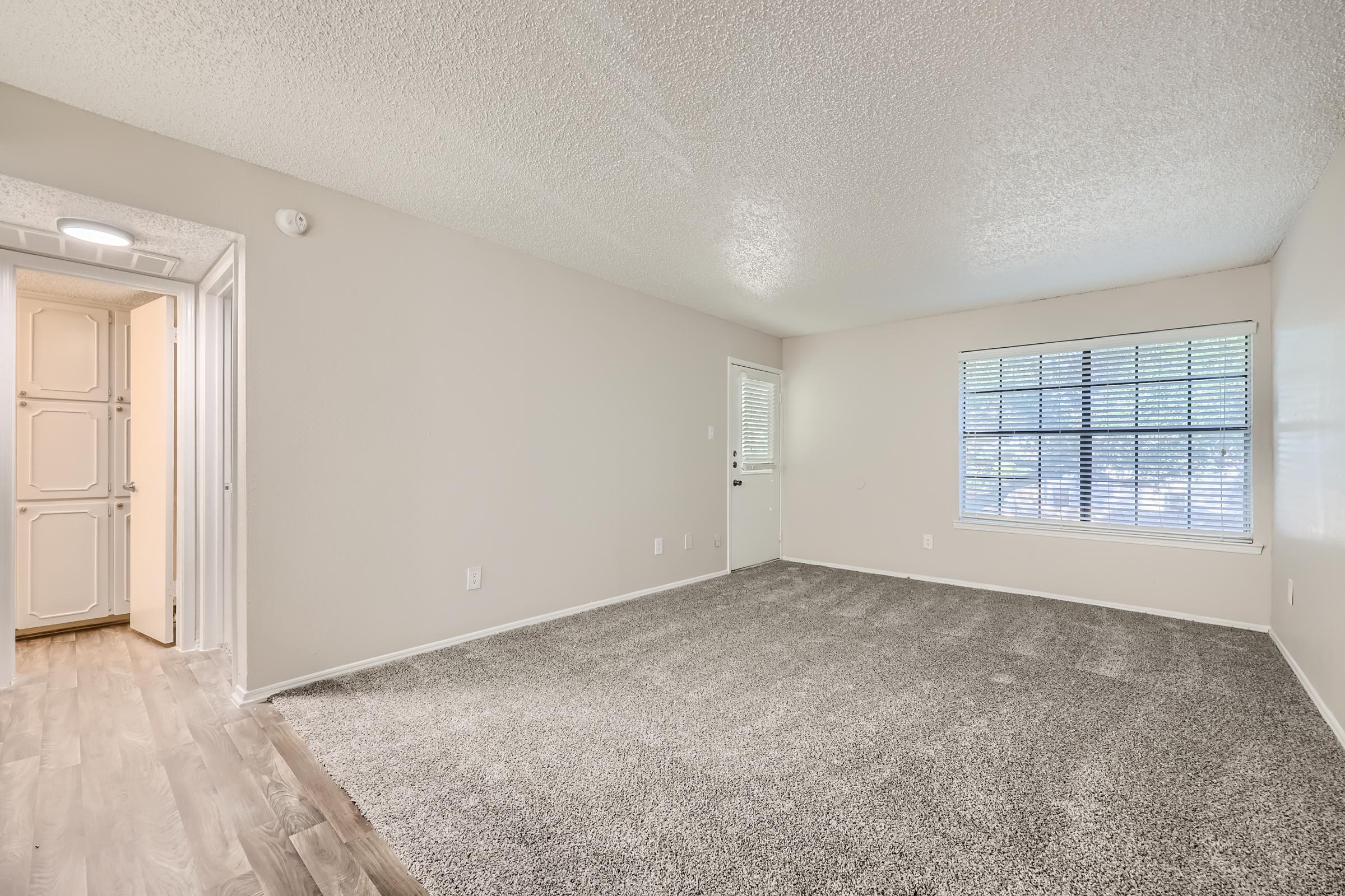 A carpeted living room with a large window in an apartment at Rise Oak Creek.