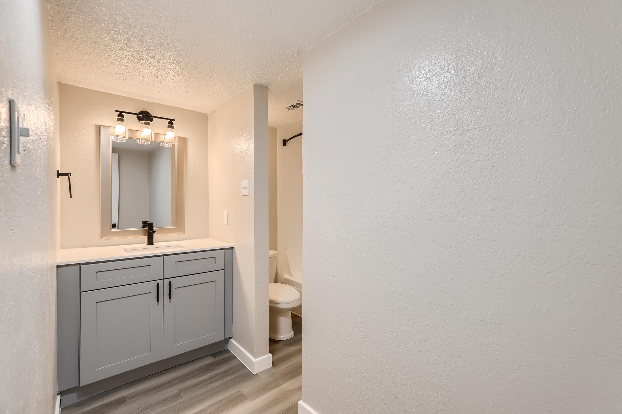 A remodeled bathroom with a separated toilet at Rise Oak Creek.