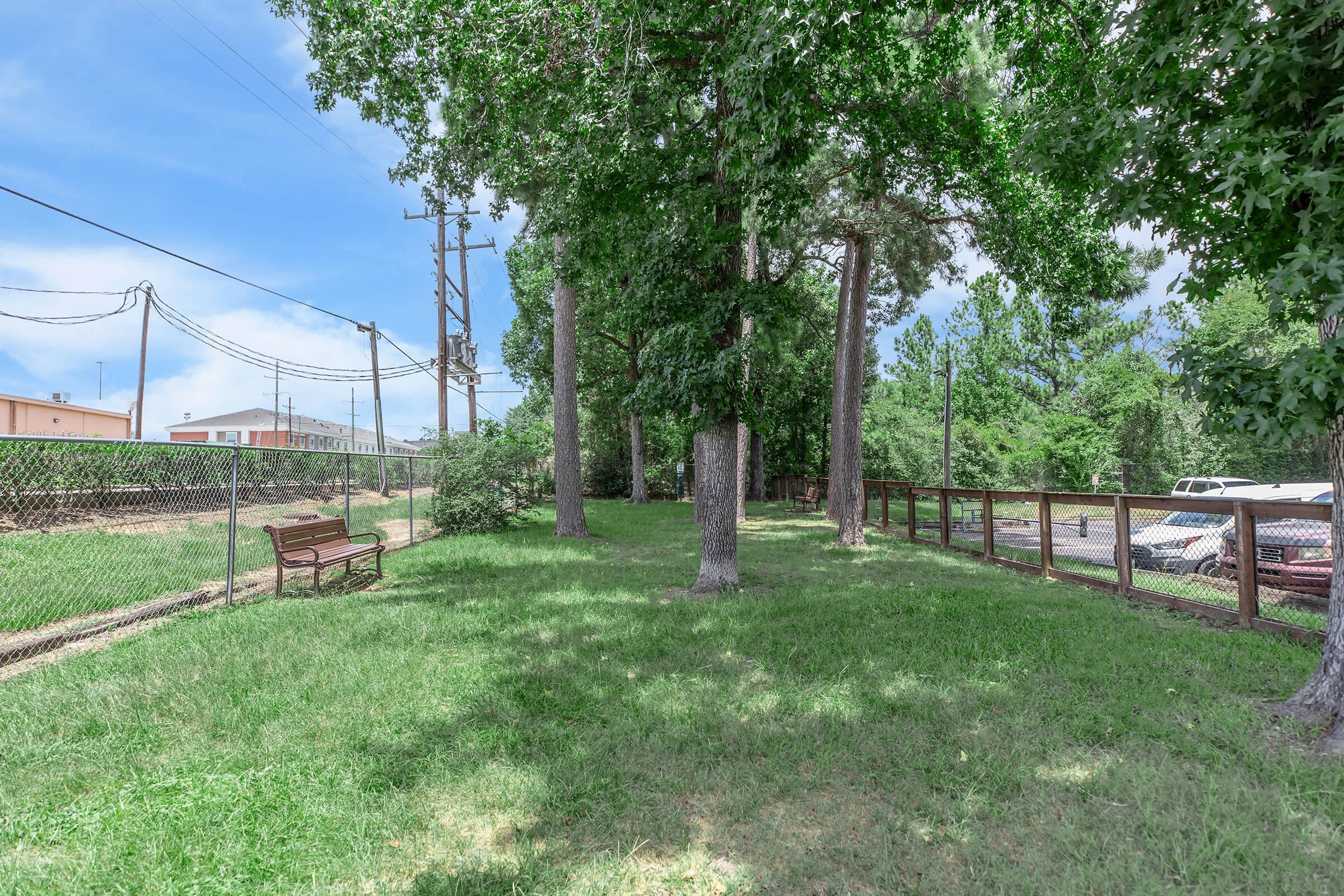 A grassy area featuring tall trees and a brown bench, surrounded by a chain-link fence. Power lines run overhead, and there are buildings and parked cars visible in the background under a clear blue sky.
