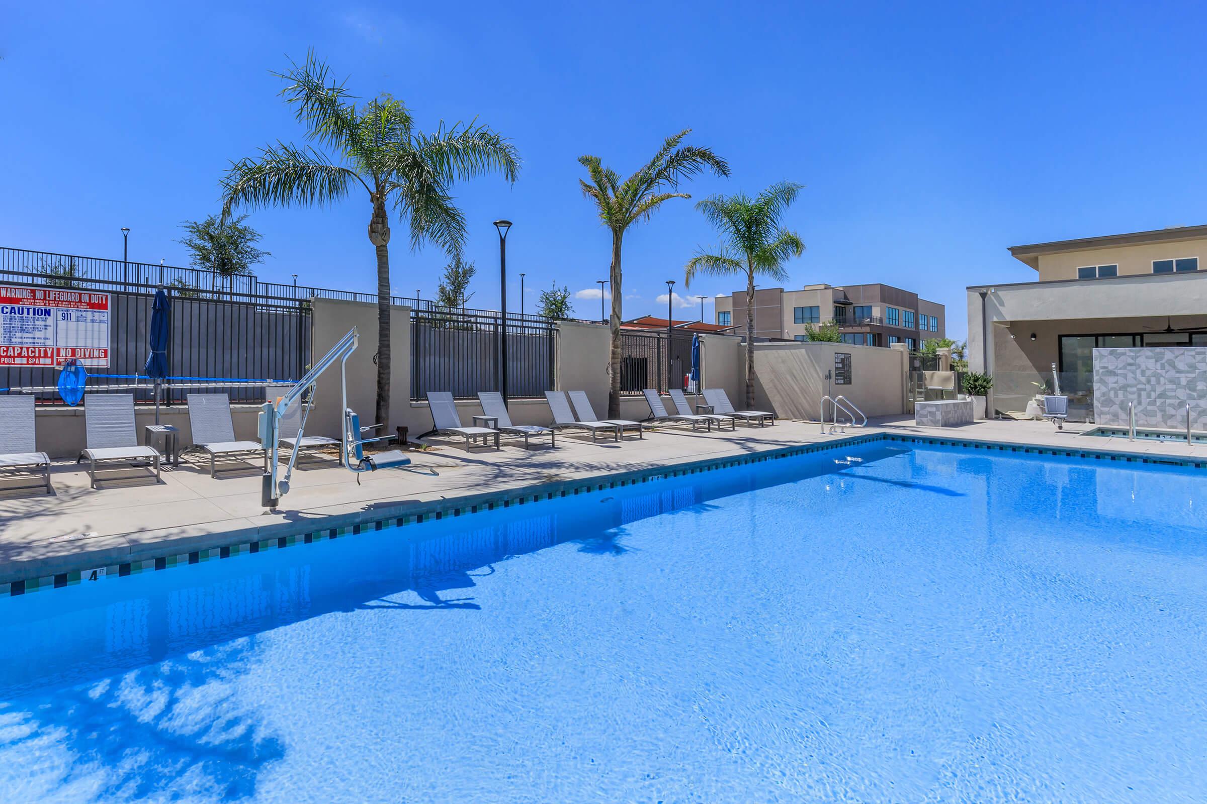 A bright, outdoor swimming pool surrounded by palm trees and lounge chairs under a clear blue sky. The pool features a diving board and is situated within a well-maintained residential area. In the background, modern buildings can be seen along with a safety sign.
