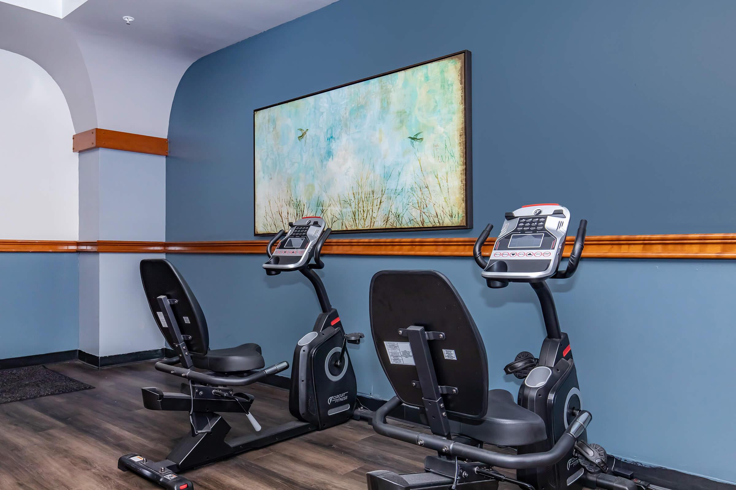 Two exercise bikes positioned in a fitness area with a blue wall. Above, there is a large, decorative painting featuring soft colors and abstract shapes, including hints of greenery and birds, adding a calming atmosphere to the workout space.