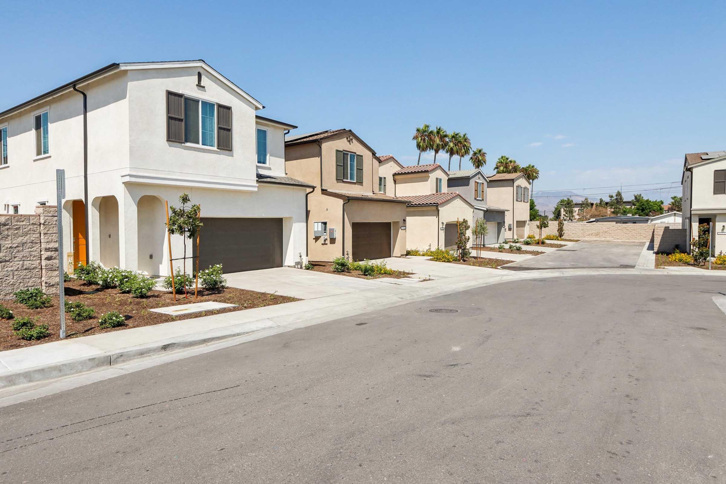 A residential street featuring modern houses with varied architectural designs. The homes have driveways, garage doors, and landscaped yards. Palm trees are visible in the background, and the street is paved with a sidewalk, providing a clean and inviting neighborhood atmosphere under a clear blue sky.