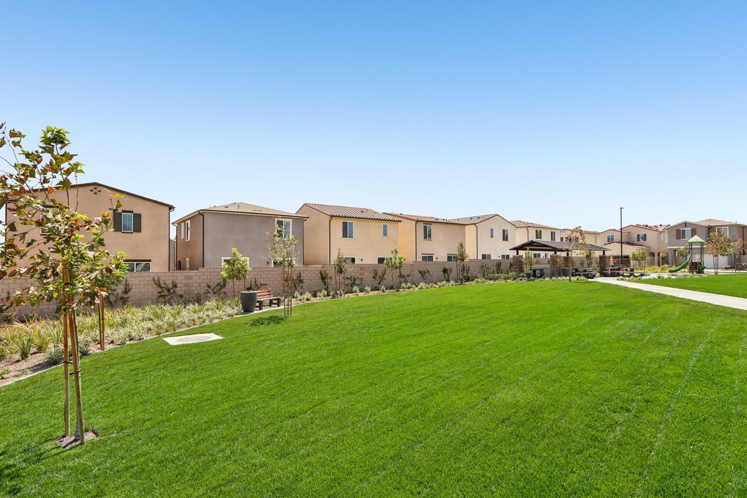 A spacious green lawn with neatly trimmed grass, bordered by new residential houses featuring beige and pastel-colored exteriors. The background includes landscaped areas and a small seating area under a pergola, set against a clear blue sky. Ideal for outdoor activities and relaxation.