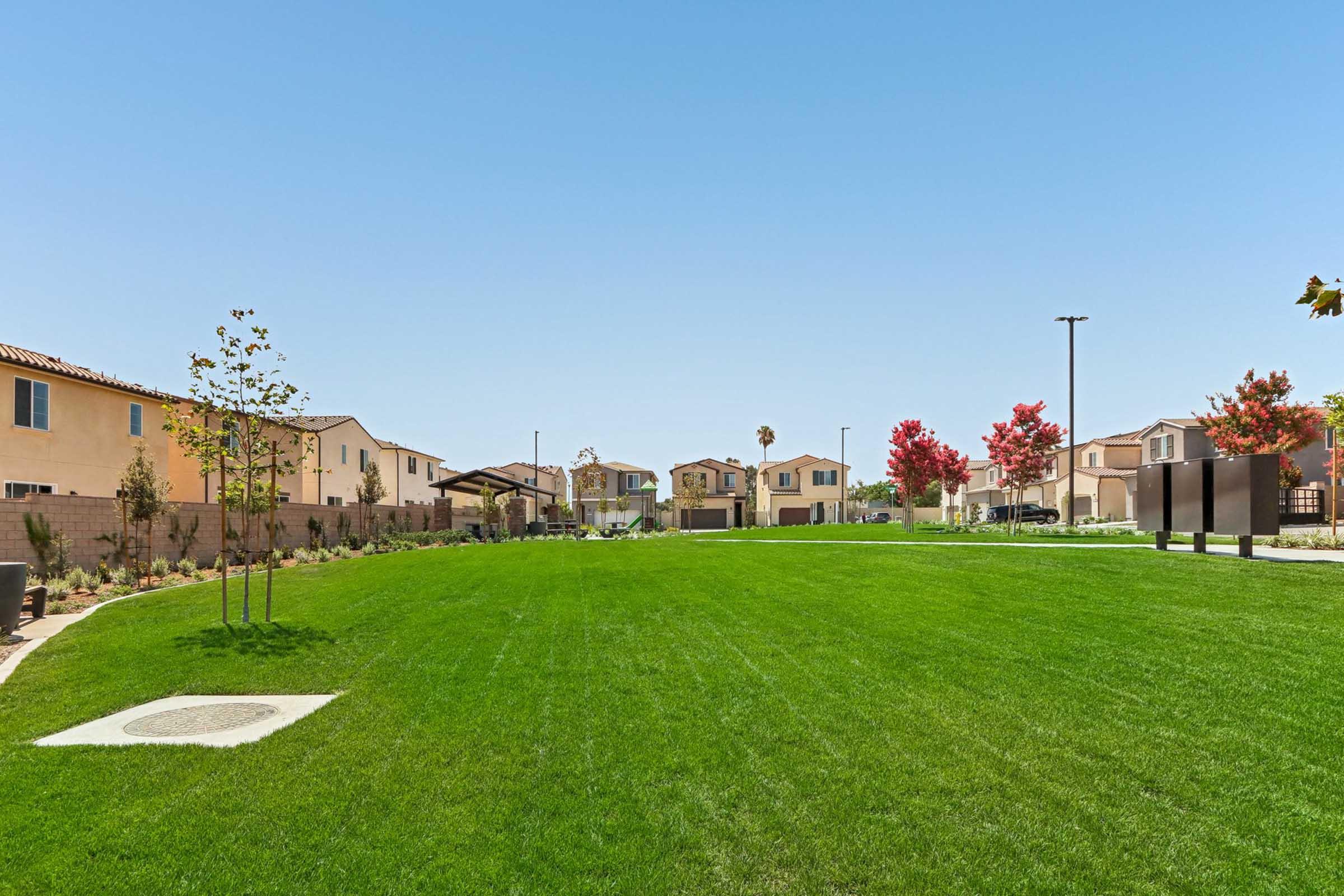 A spacious green park area with a well-maintained lawn, bordered by newly constructed homes. The background features flowering trees with vibrant leaves and a clear blue sky. Well-placed light poles accentuate the space, creating a welcoming atmosphere for residents and visitors.