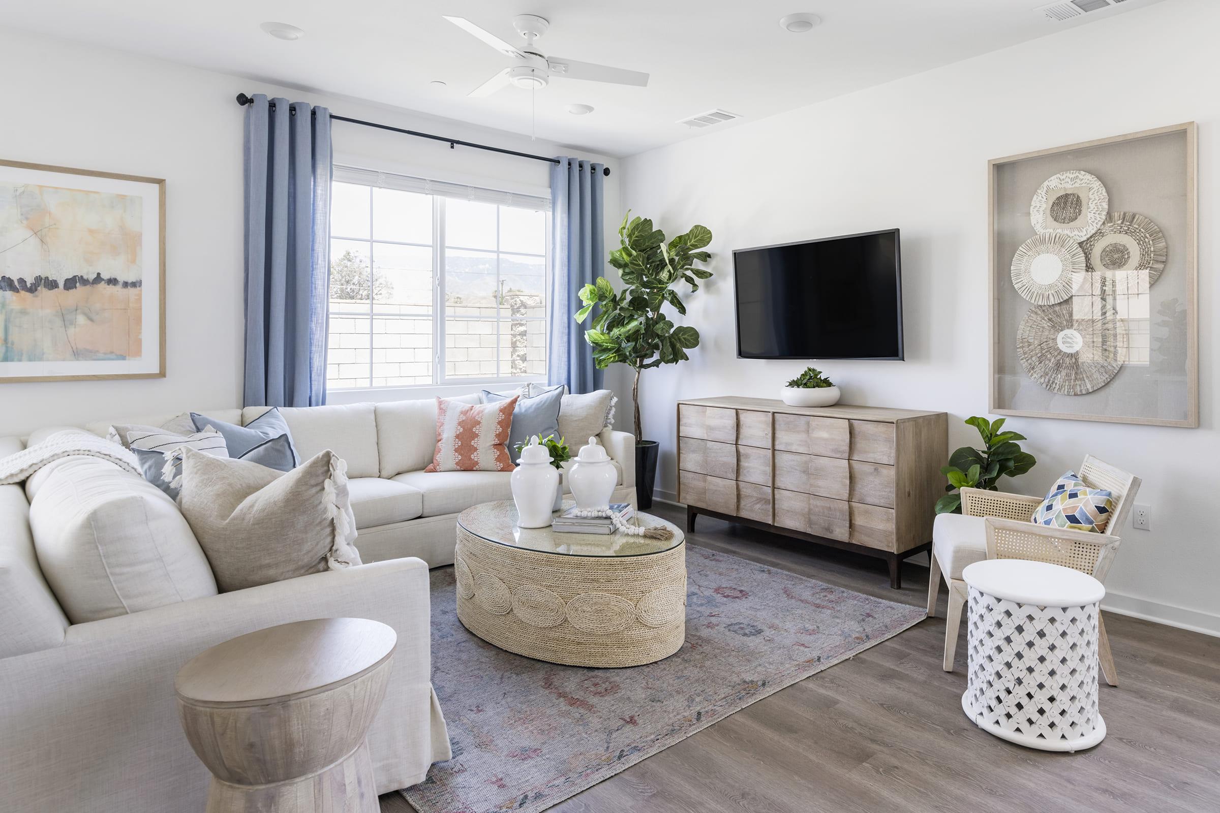 A stylish living room featuring a light-colored sofa adorned with decorative pillows, a patterned area rug, a round coffee table, and a wooden side table. A flat-screen TV is mounted on the wall, alongside framed artworks and a large potted plant. Natural light filters through a window with blue curtains.