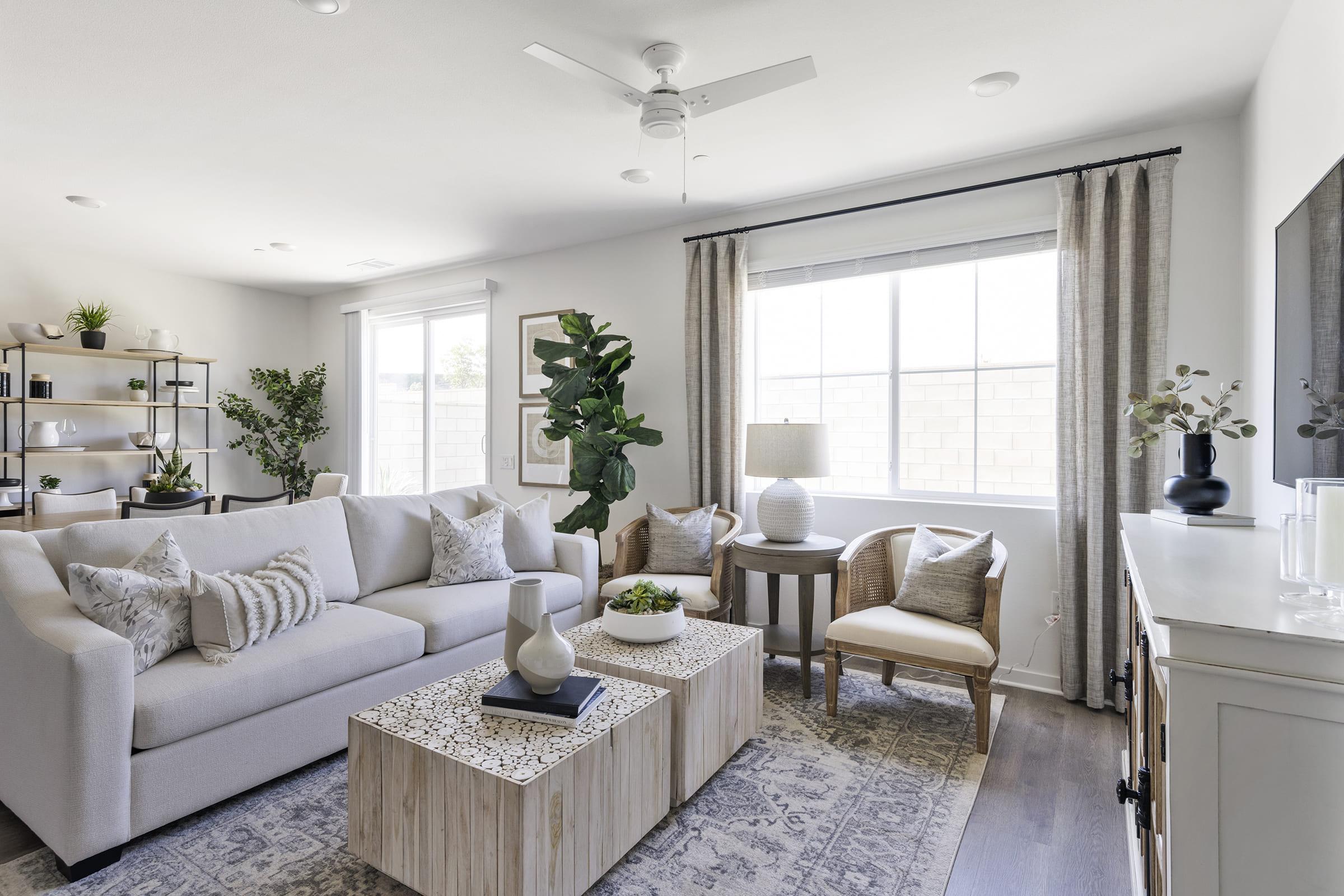 A bright, modern living room featuring a light-colored sofa adorned with patterned cushions, a coffee table with a textured surface, and an indoor plant. A window with sheer curtains allows natural light to filter in, and decorative elements include a lamp and various plants on a shelf, creating a cozy atmosphere.