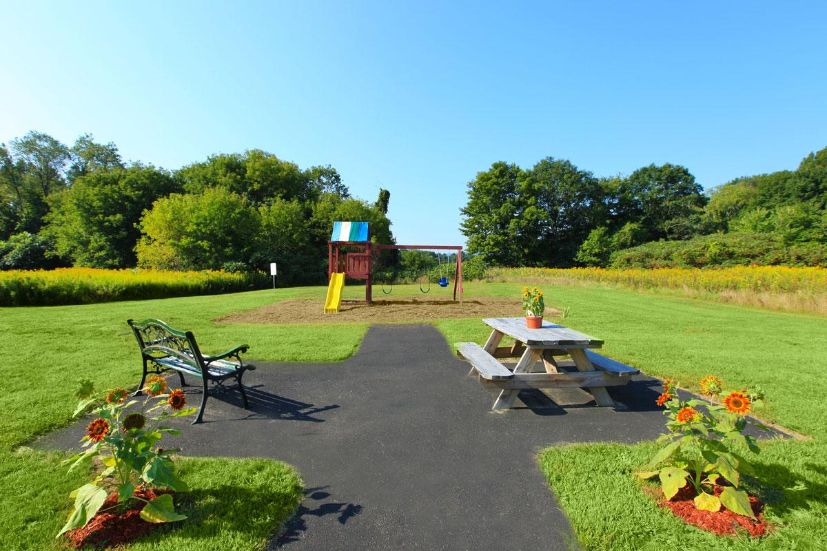 a group of lawn chairs sitting on top of a grass covered field