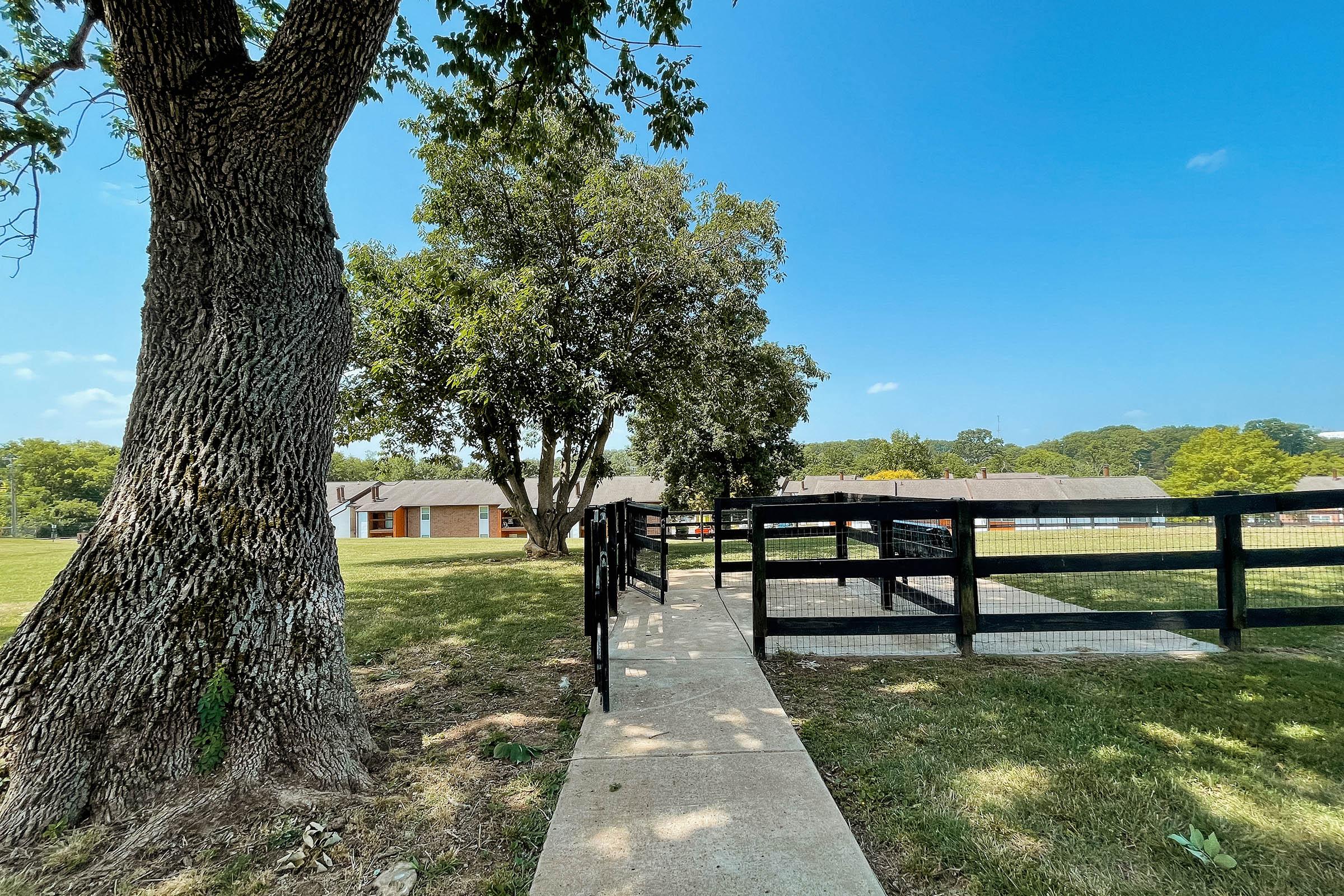 a bench in a park