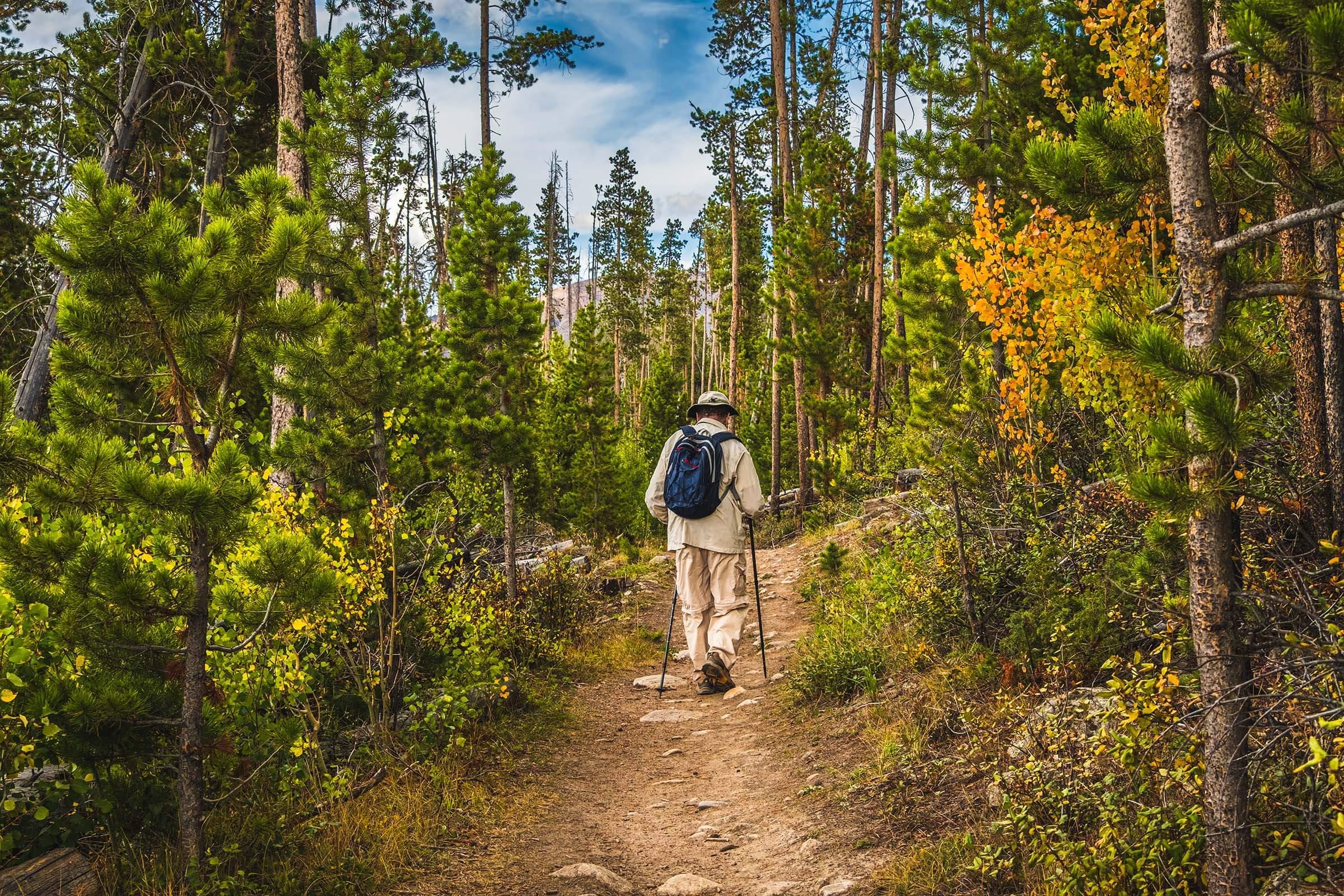 a person standing next to a tree in a forest