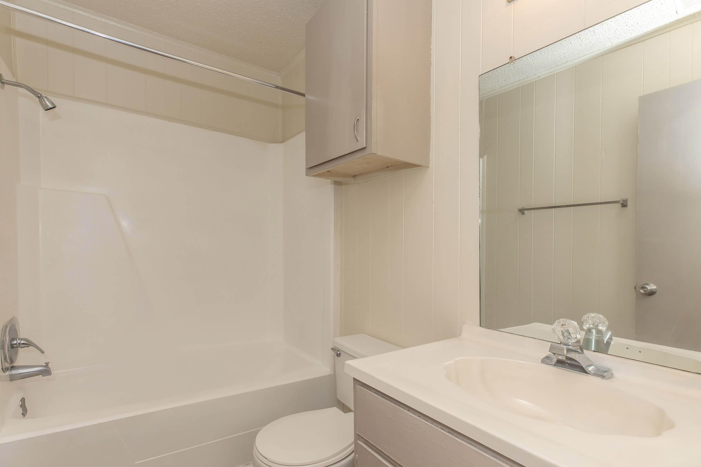 A clean, modern bathroom featuring a white bathtub with a shower, a single-sink vanity with a mirror, light beige walls, and gray cabinetry. The space is well-lit with neutral decor, creating an inviting atmosphere.