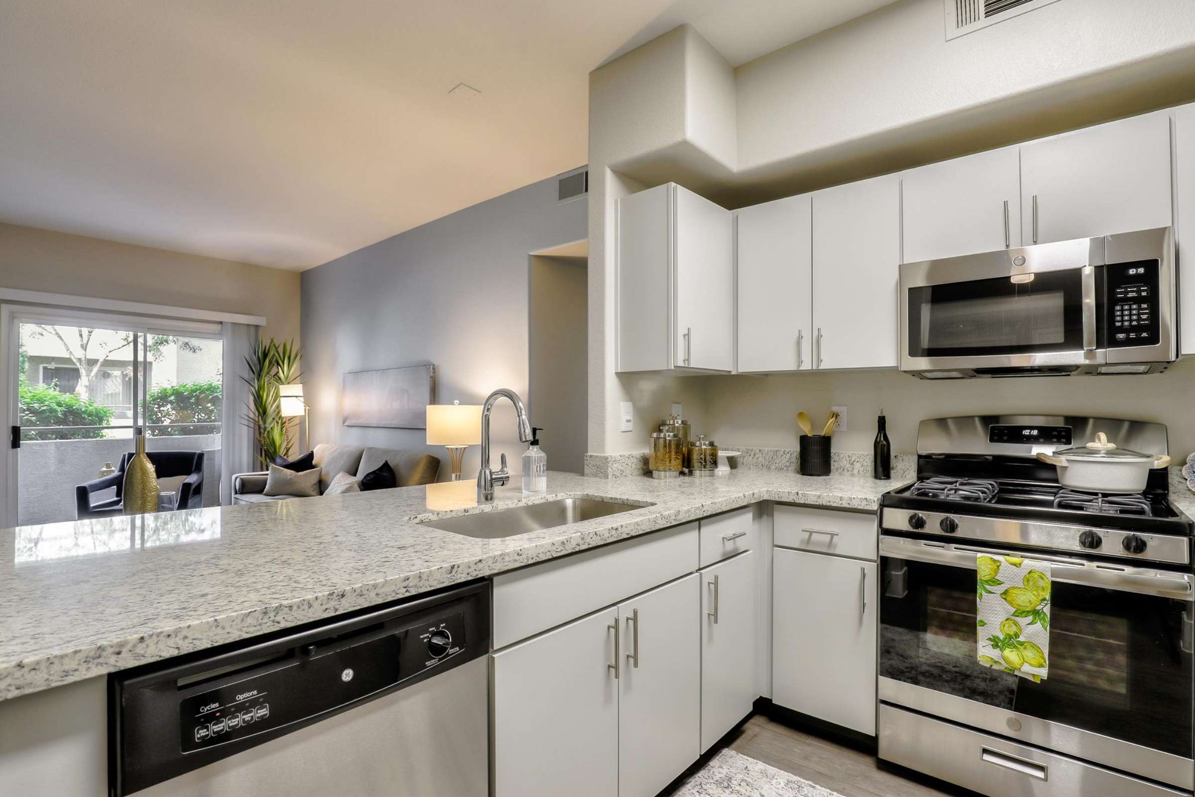 Apartment Features