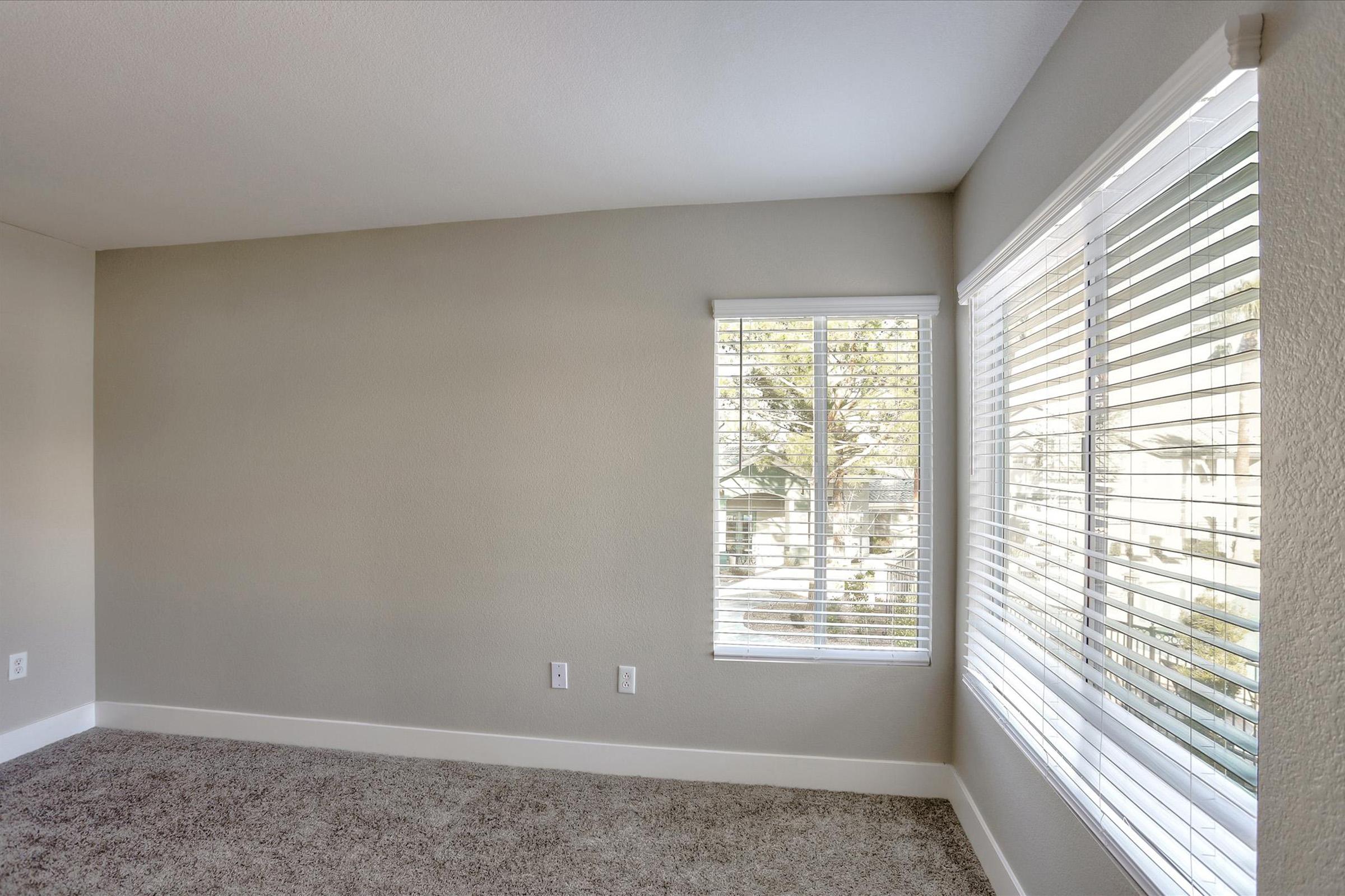 A corner of a room featuring light gray walls and plush beige carpet. A window with white blinds allows natural light to enter, revealing a view of trees outside. The space is empty, conveying a minimalist and bright atmosphere.
