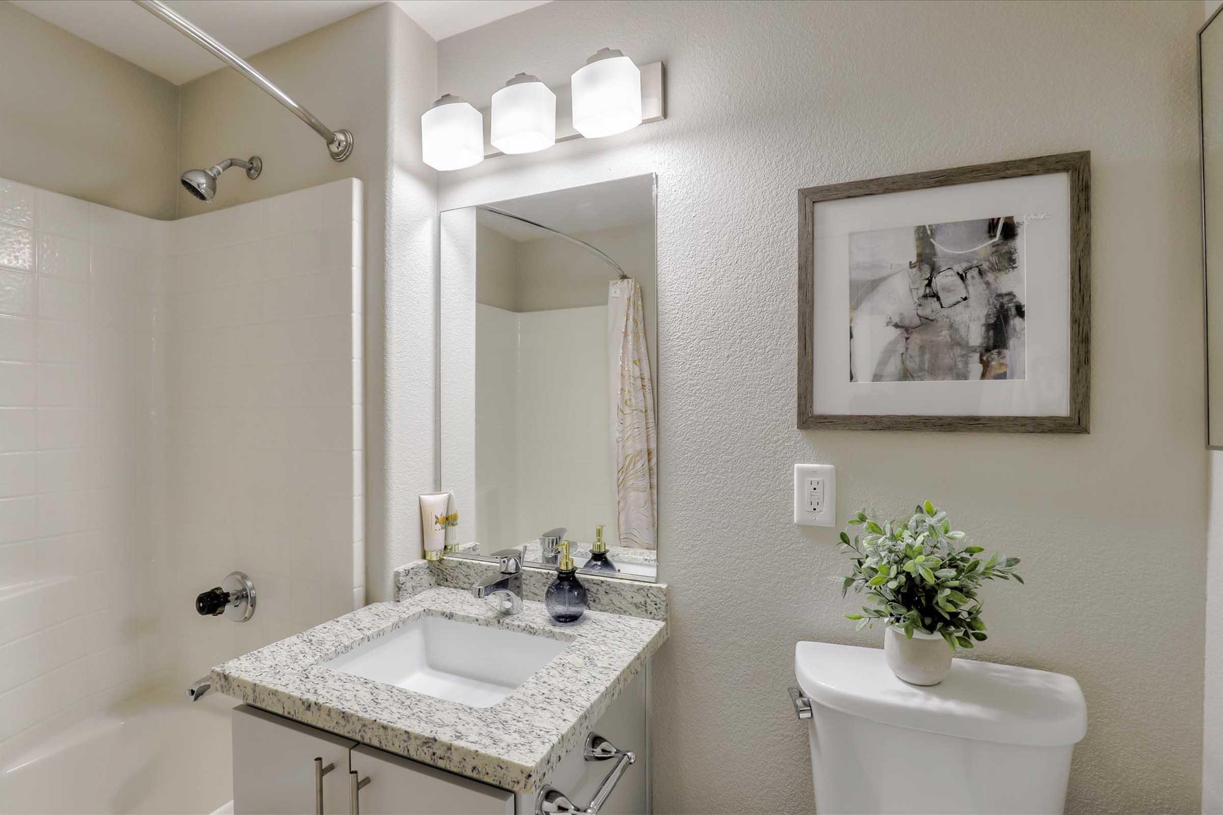 A modern bathroom featuring a shower/tub combination, a granite countertop sink with a mirror above, and a decorative plant. There are three light fixtures above the mirror, and a framed artwork is mounted on the wall beside the sink. The decor has neutral tones, creating a clean and contemporary feel.
