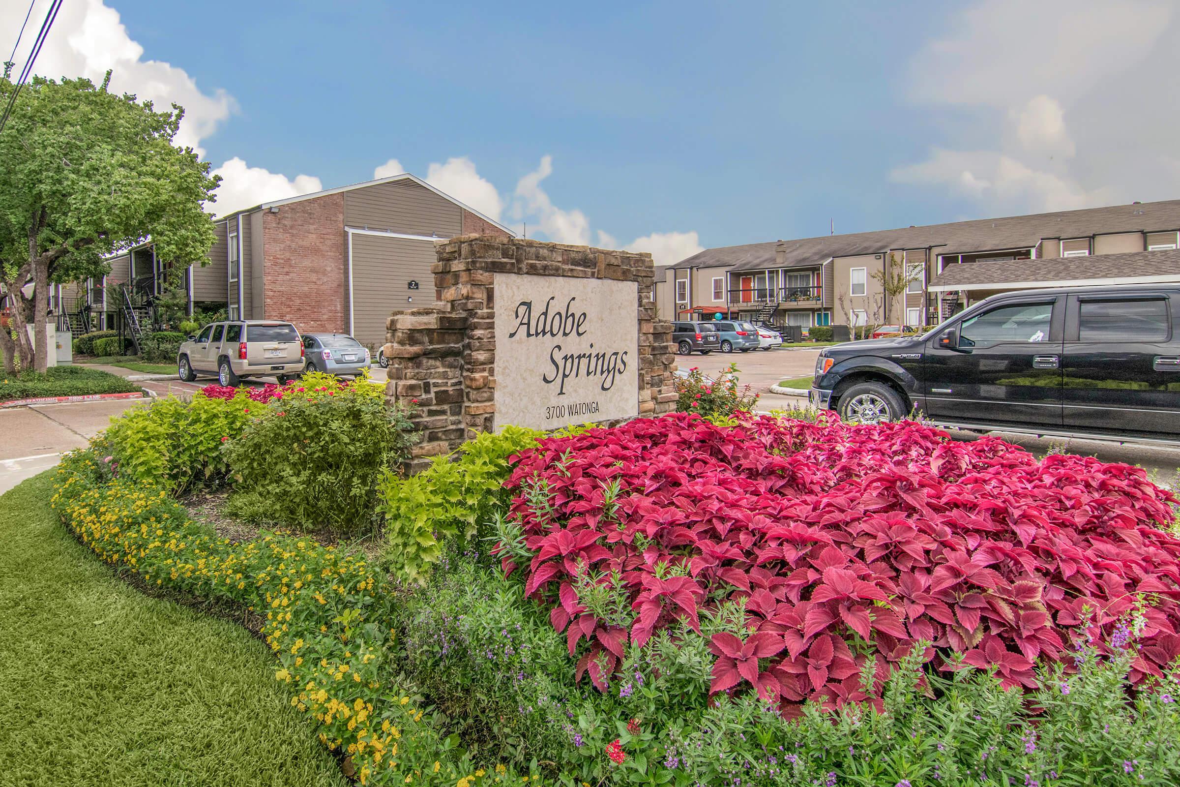 a close up of a flower garden in front of a building