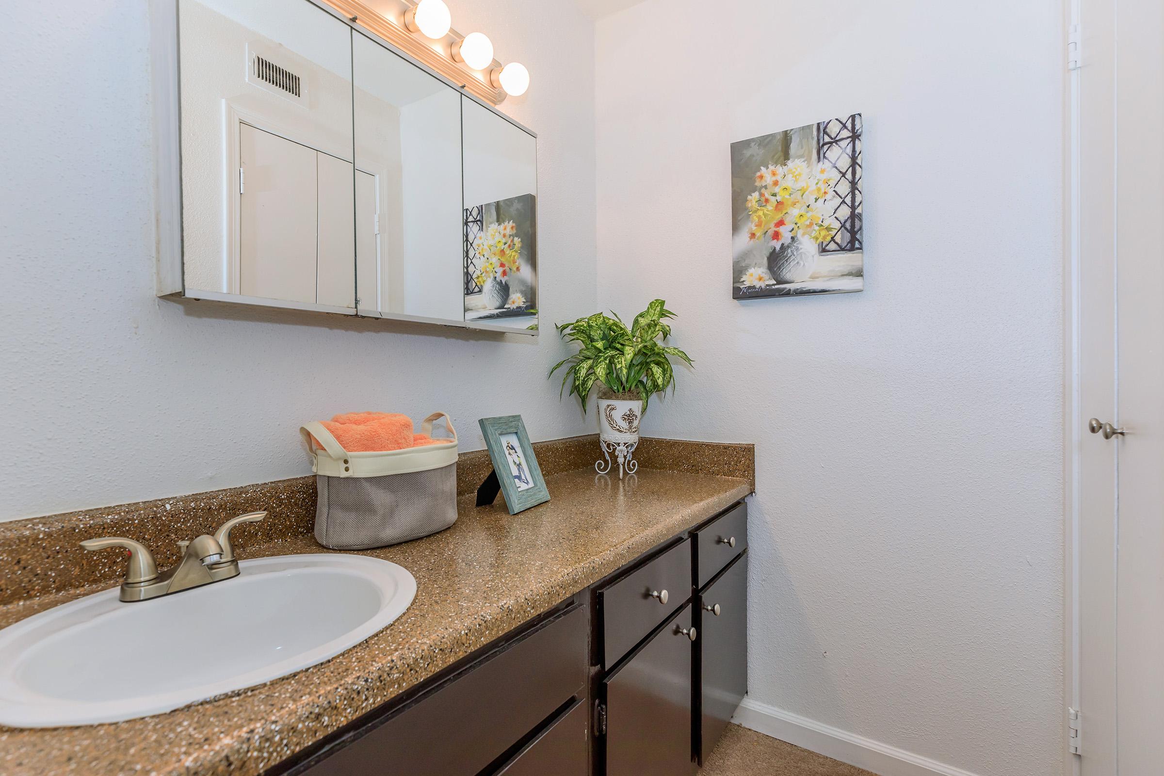 a counter with a sink and a mirror