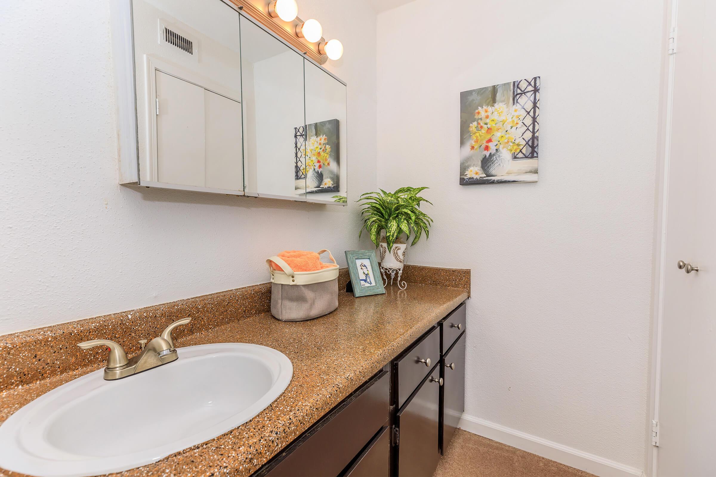 A bright and modern bathroom featuring a granite countertop with a round sink, large mirror with lighting above, and cabinets below. A potted plant and a framed floral painting add a touch of decor, while a basket with towels sits on the counter. The walls are painted in neutral tones.