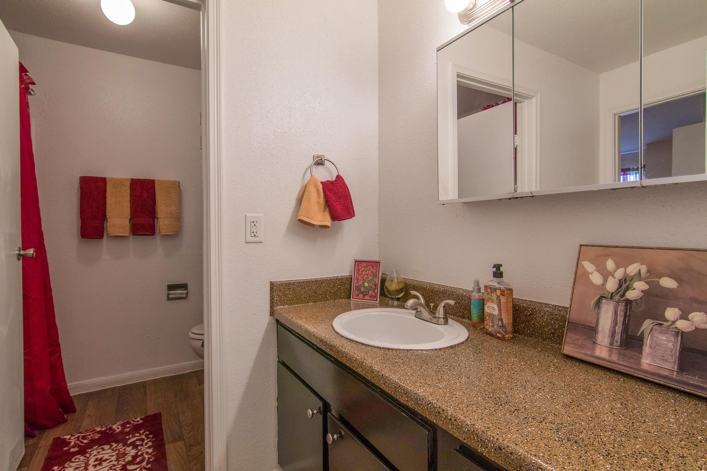 a hotel room with a sink and a mirror