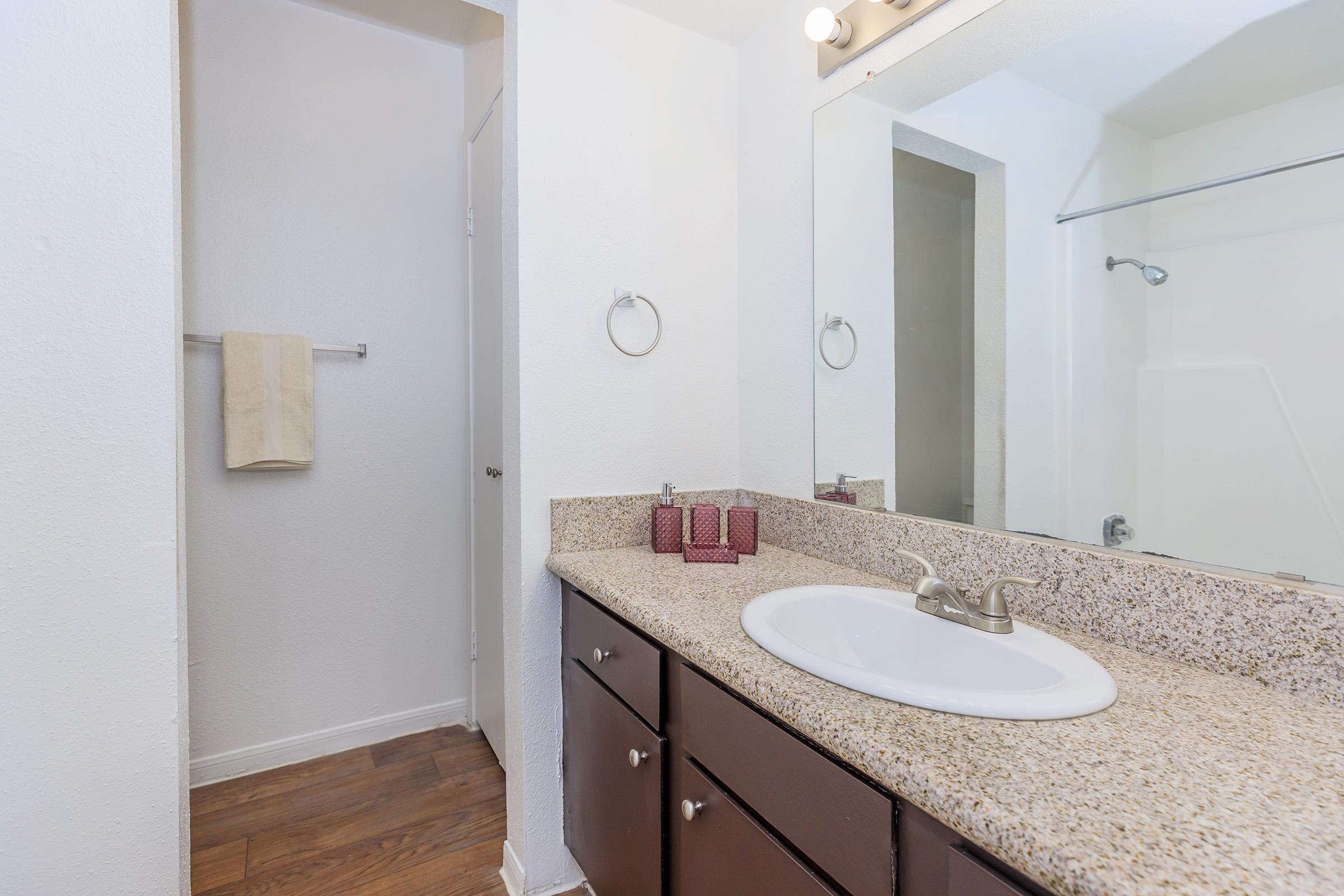 A modern bathroom featuring a granite countertop with a sink, dark wood cabinets, and two decorative red containers. A mirror is mounted above the sink, and a light fixture is installed above the mirror. The bathroom also includes a towel rack, a door leading to another room, and a glass shower enclosure.