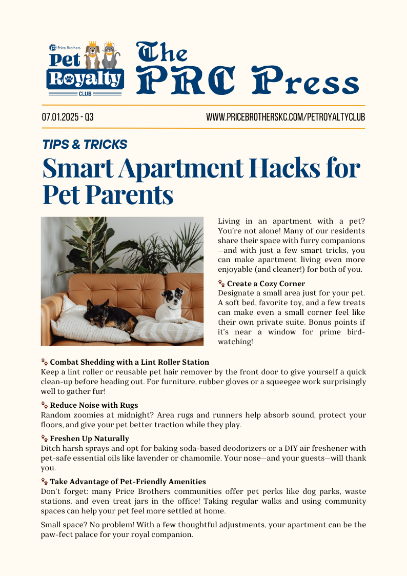How to Keep Area Rugs from Gathering Pet Hair: Proven Easy Tips