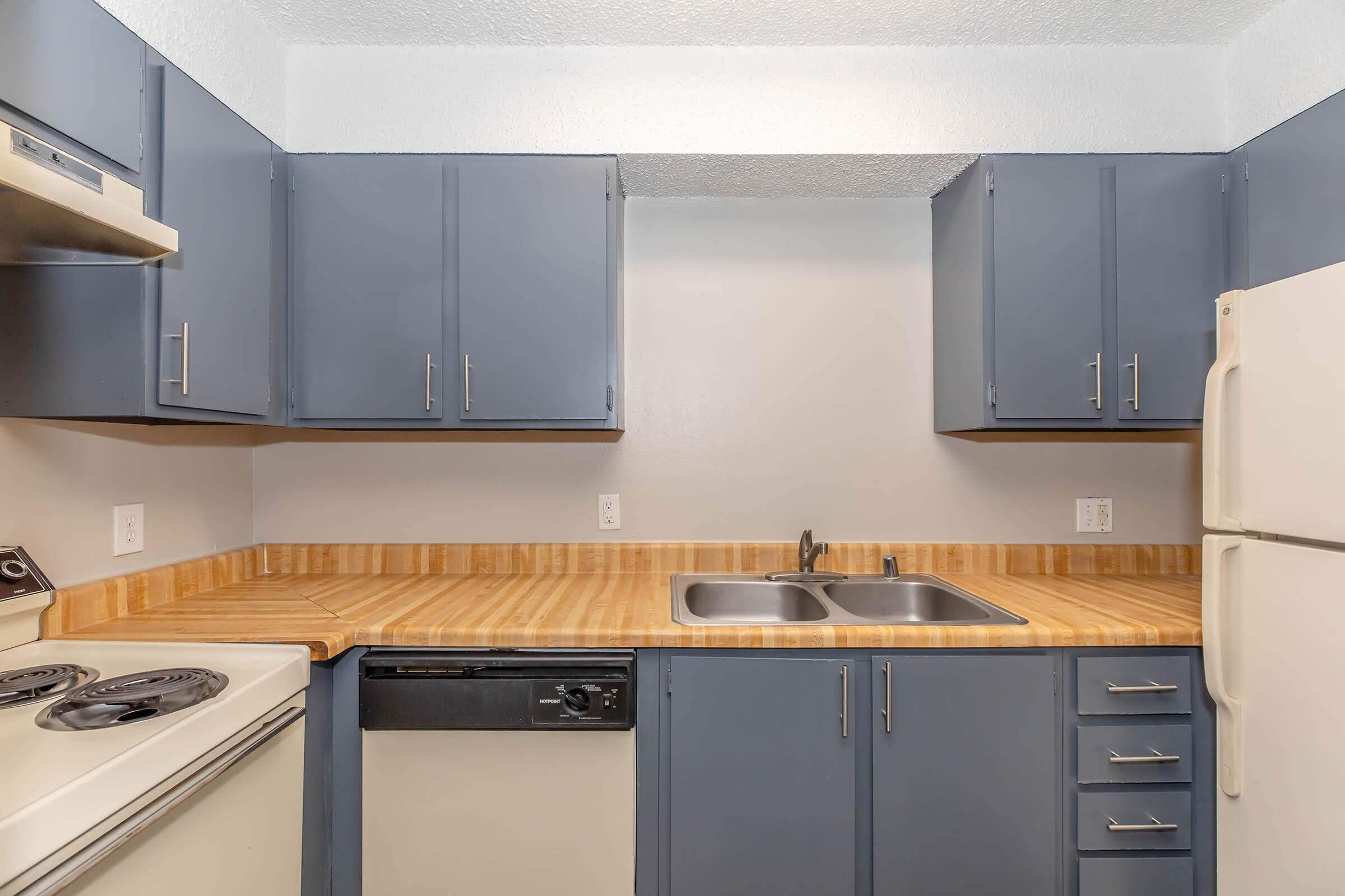 Modern kitchen interior featuring blue cabinets, a wooden countertop, a double stainless steel sink, a white refrigerator, and an electric stove. The design is simple and functional, with a dishwasher beside the sink and overhead cabinets for storage.