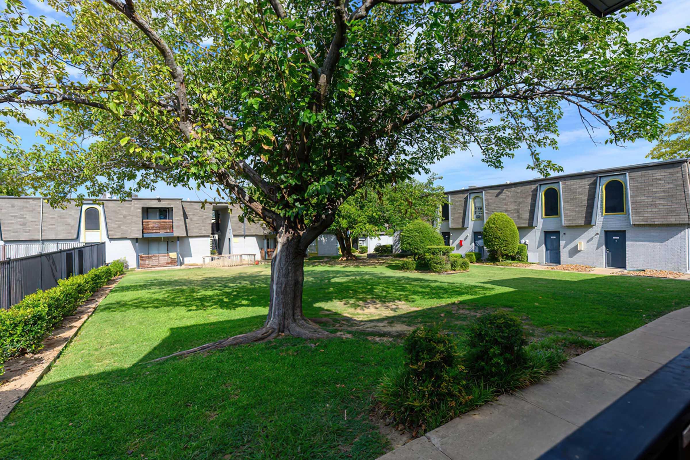 A spacious courtyard featuring a large tree, manicured grass, and landscaped shrubs. Surrounding the area are two-story residential buildings with unique window designs. Clear blue skies are visible above, providing a bright and inviting atmosphere.