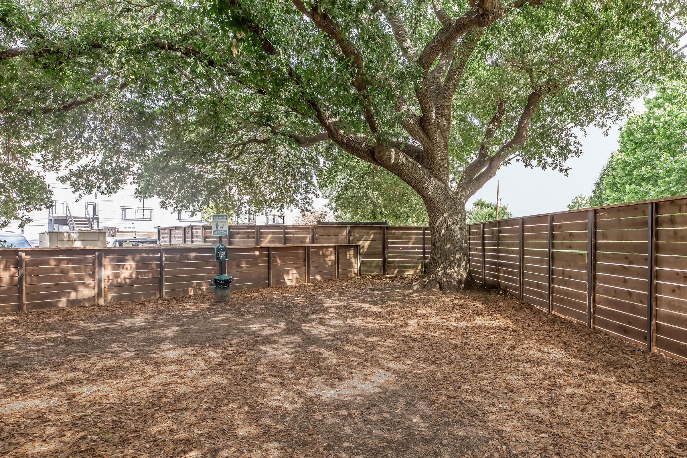 A spacious outdoor area featuring a large tree with a thick canopy, surrounded by wooden privacy fencing. The ground is covered with dry leaves, and a small trash can is visible. The background shows faint outlines of structures, suggesting a residential setting.