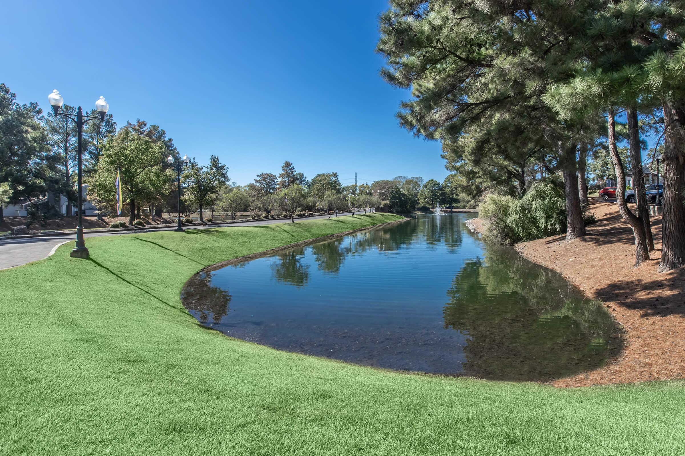 a body of water surrounded by trees