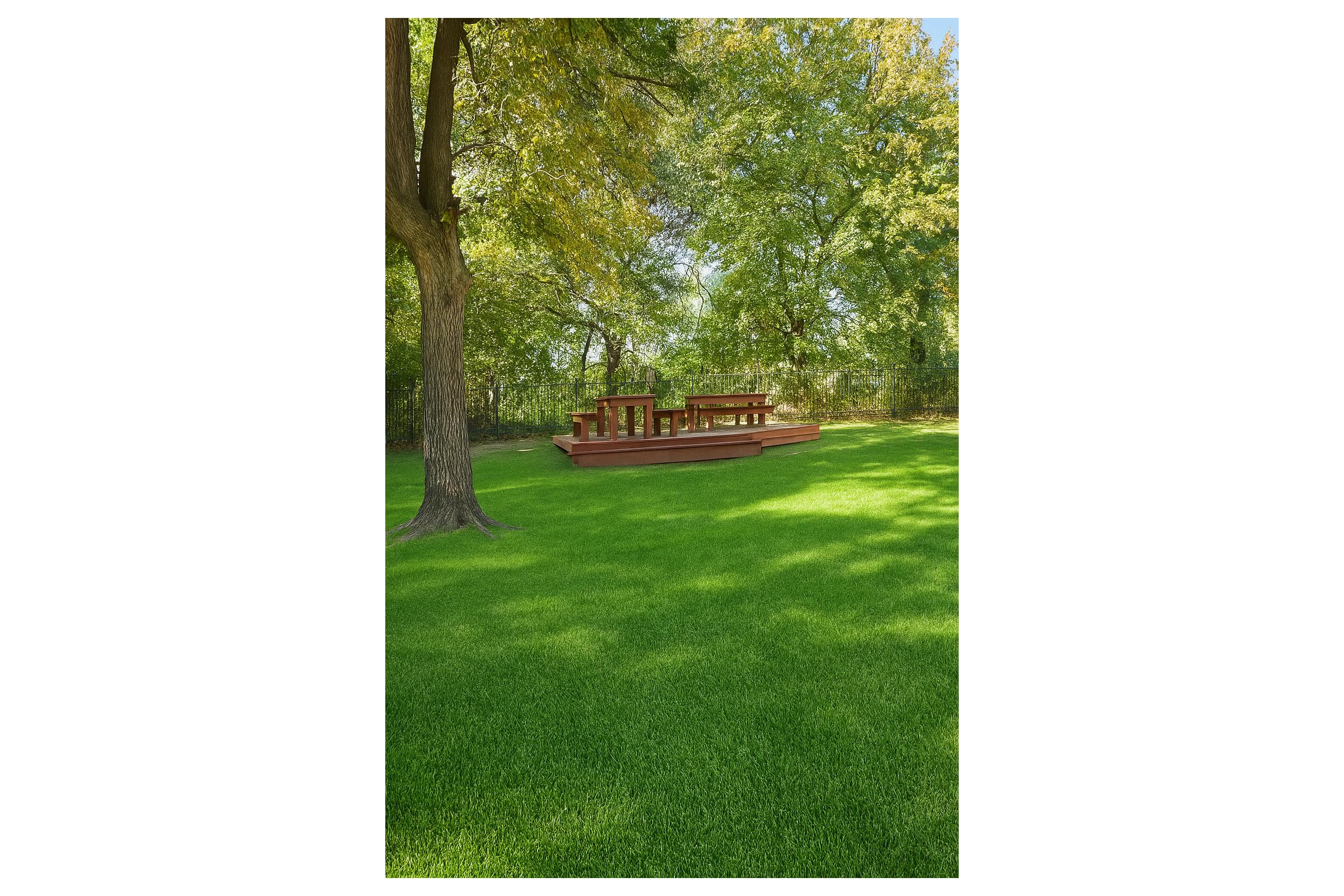 A serene outdoor scene featuring a grassy lawn with lush green grass, accompanied by a wooden deck or picnic area nestled amongst trees. The sunlight filters through the foliage, creating a tranquil and inviting atmosphere perfect for relaxation or gatherings.