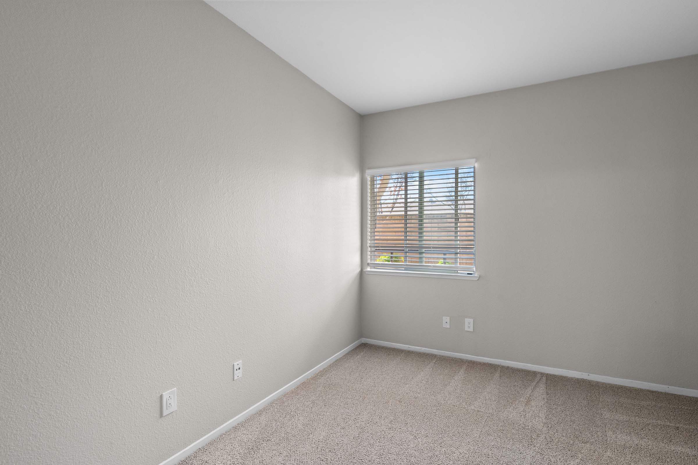 A well-lit, empty room featuring grey walls and beige carpet. A window with blinds allows natural light to enter, illuminating the space. The room has no furniture, creating a minimalist appearance, with a hint of greenery visible outside through the window.