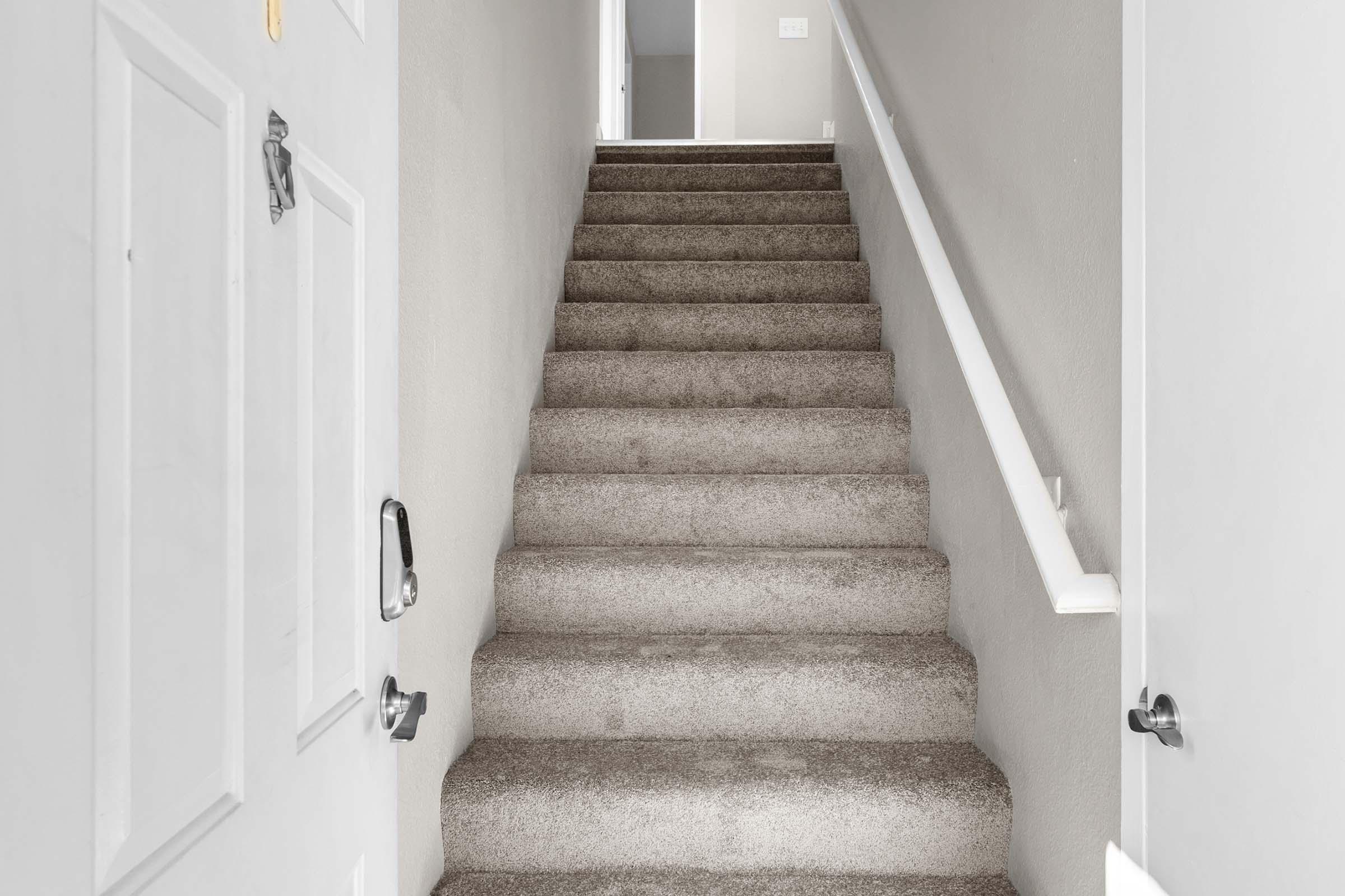 Staircase with carpet leading upwards, view from the bottom. Light gray walls and two doors partially visible at the top of the stairs.