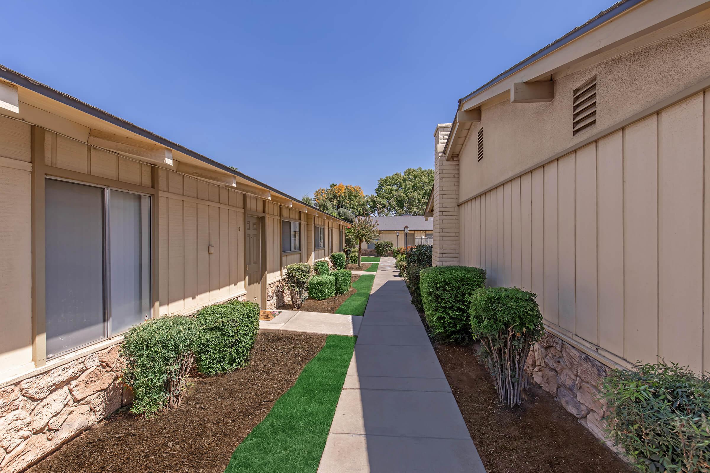 a path with trees on the side of a building