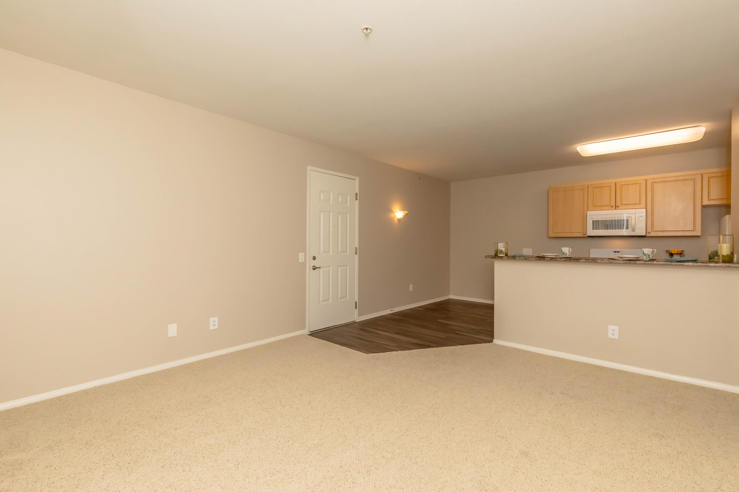A spacious, vacant living area with light beige walls and carpet. A door on the left leads to the entrance, and a small kitchen area with wooden cabinetry and a countertop is visible in the background. Ceiling lights provide illumination, creating a bright and airy atmosphere.