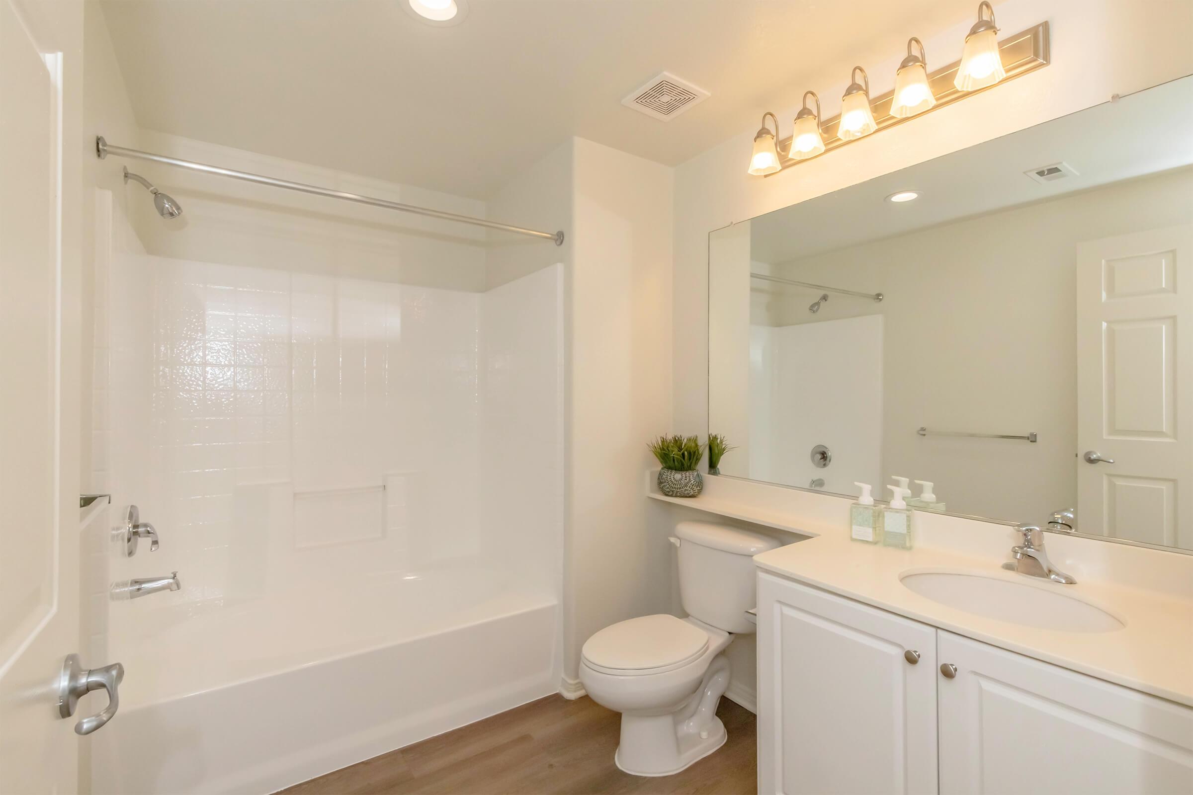 A clean and modern bathroom featuring a bathtub with a shower, a white toilet, and a double sink vanity. The vanity has two elegant soap dispensers and a small potted plant. Soft lighting from a fixture above the mirror illuminates the space, which has light-colored walls and wood-style flooring.