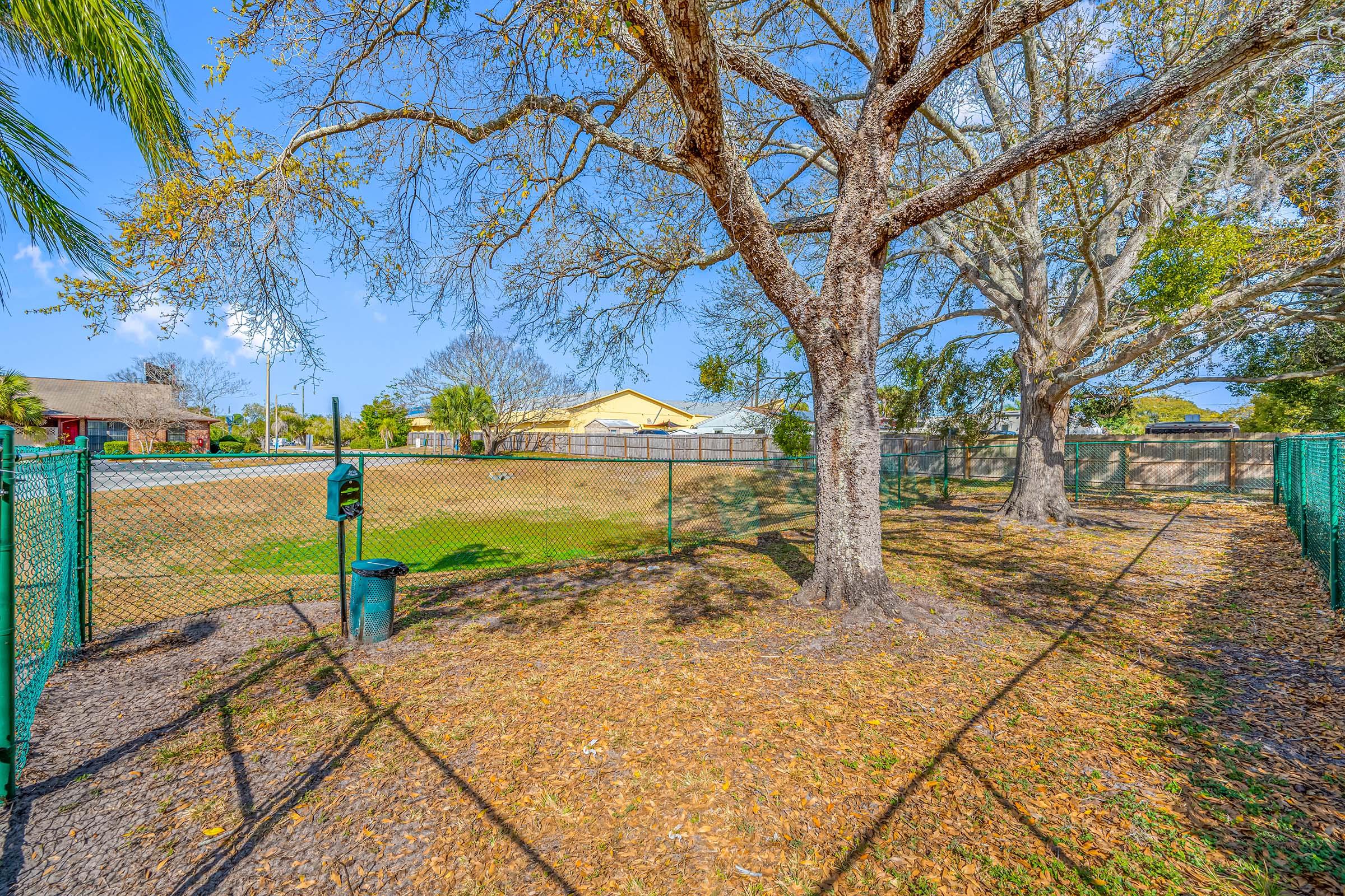 A spacious, fenced area featuring two large trees with bare branches, surrounded by green grass. In the foreground, a trash can is present along the fence. The background shows a hint of buildings and a clear blue sky. Sunlight creates a warm atmosphere, perfect for outdoor activities.