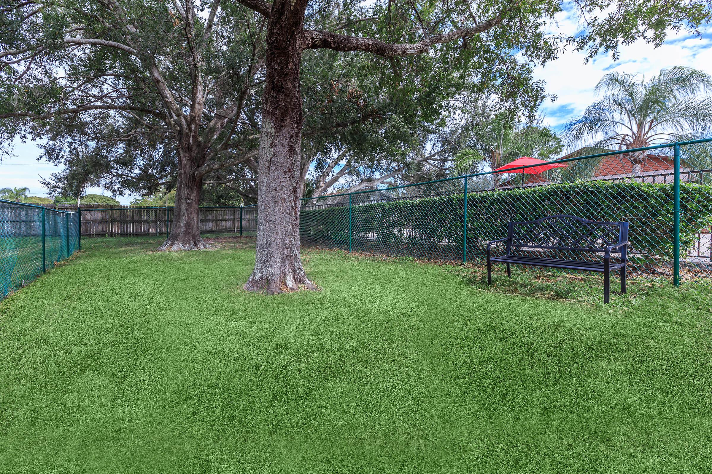 a group of lawn chairs sitting on top of a grass covered field