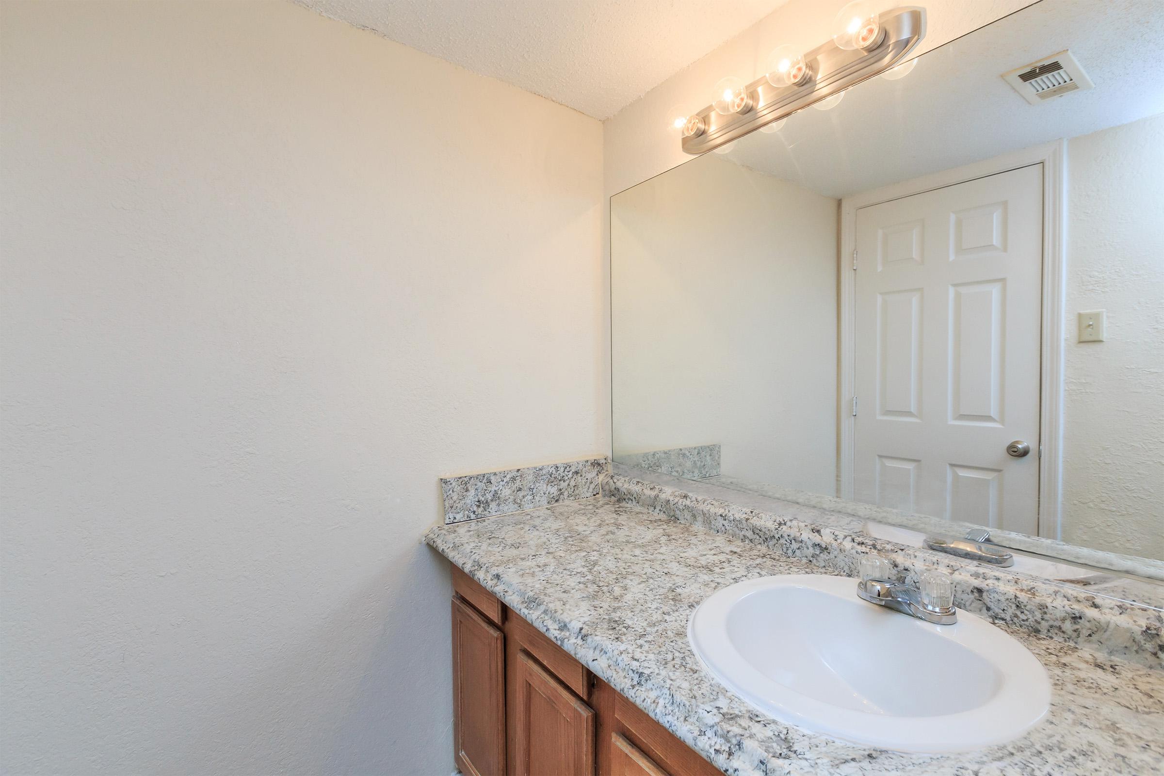 a sink and a mirror