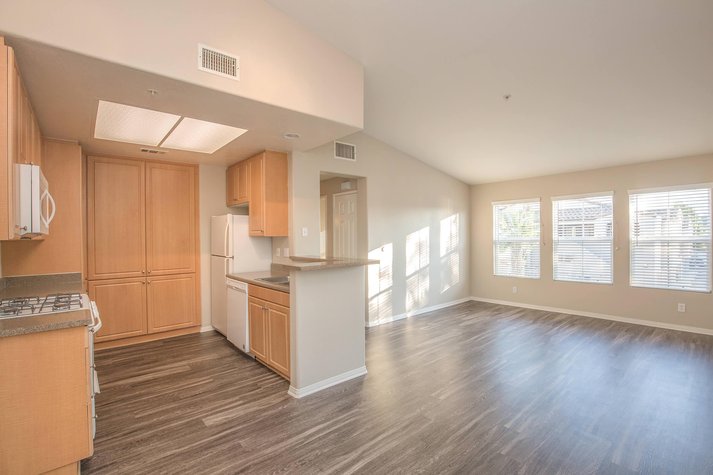 Kitchen and living room with wooden floors