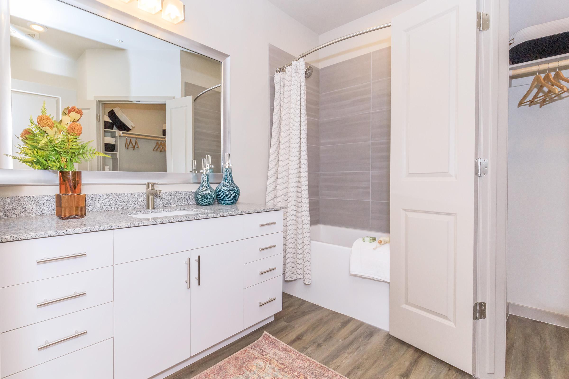 A modern bathroom featuring a granite countertop with a sink, decorative vases, a bathtub with a shower curtain, and a closet with hangers. The space is well-lit and has wooden flooring, with a decorative rug on the floor and fresh flowers in a vase.