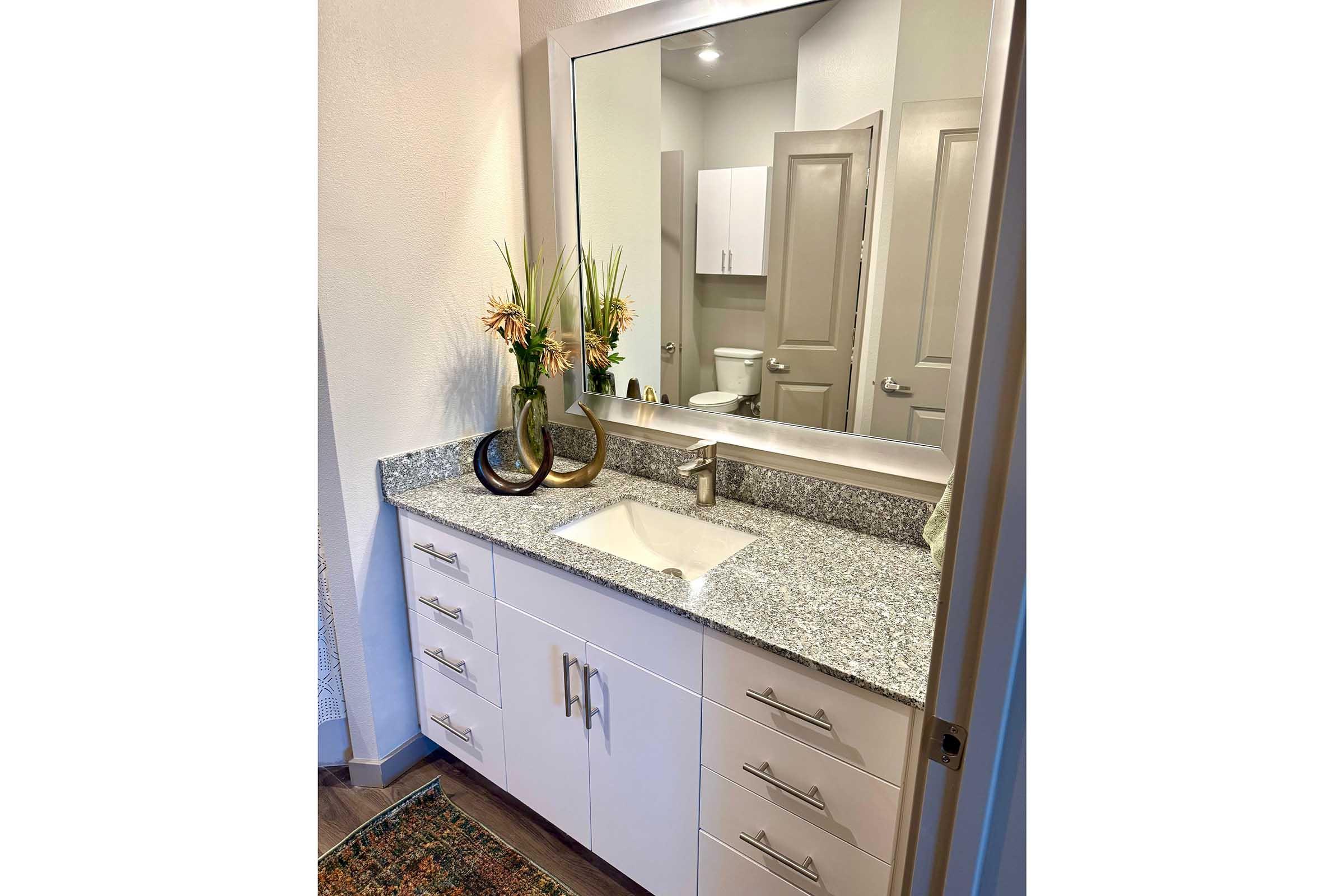 a kitchen with a sink and a mirror