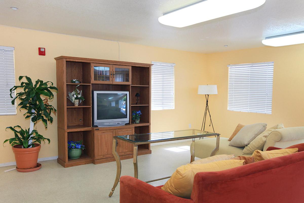 Vineyard Gardens Apartment Homes community room with couches and a TV