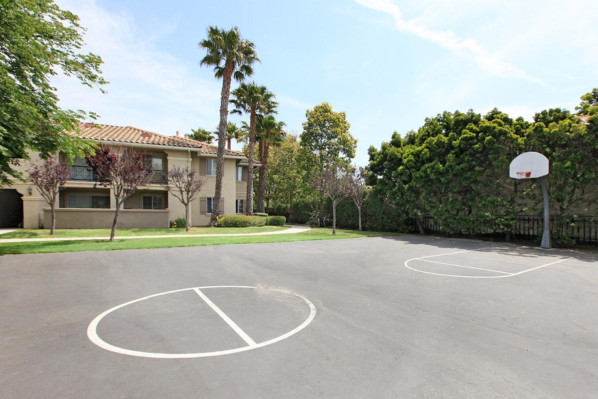 Vineyard Gardens Apartment Homes basketball court
