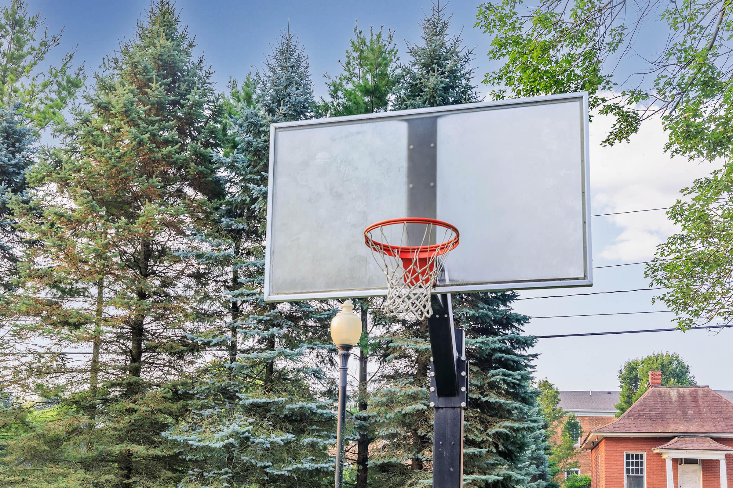 A close-up view of a basketball hoop with a clear backboard and a red net, set against a backdrop of tall evergreen trees and a residential area. The sky is partly cloudy, and a street lamp is visible nearby, indicating a well-maintained outdoor basketball court.