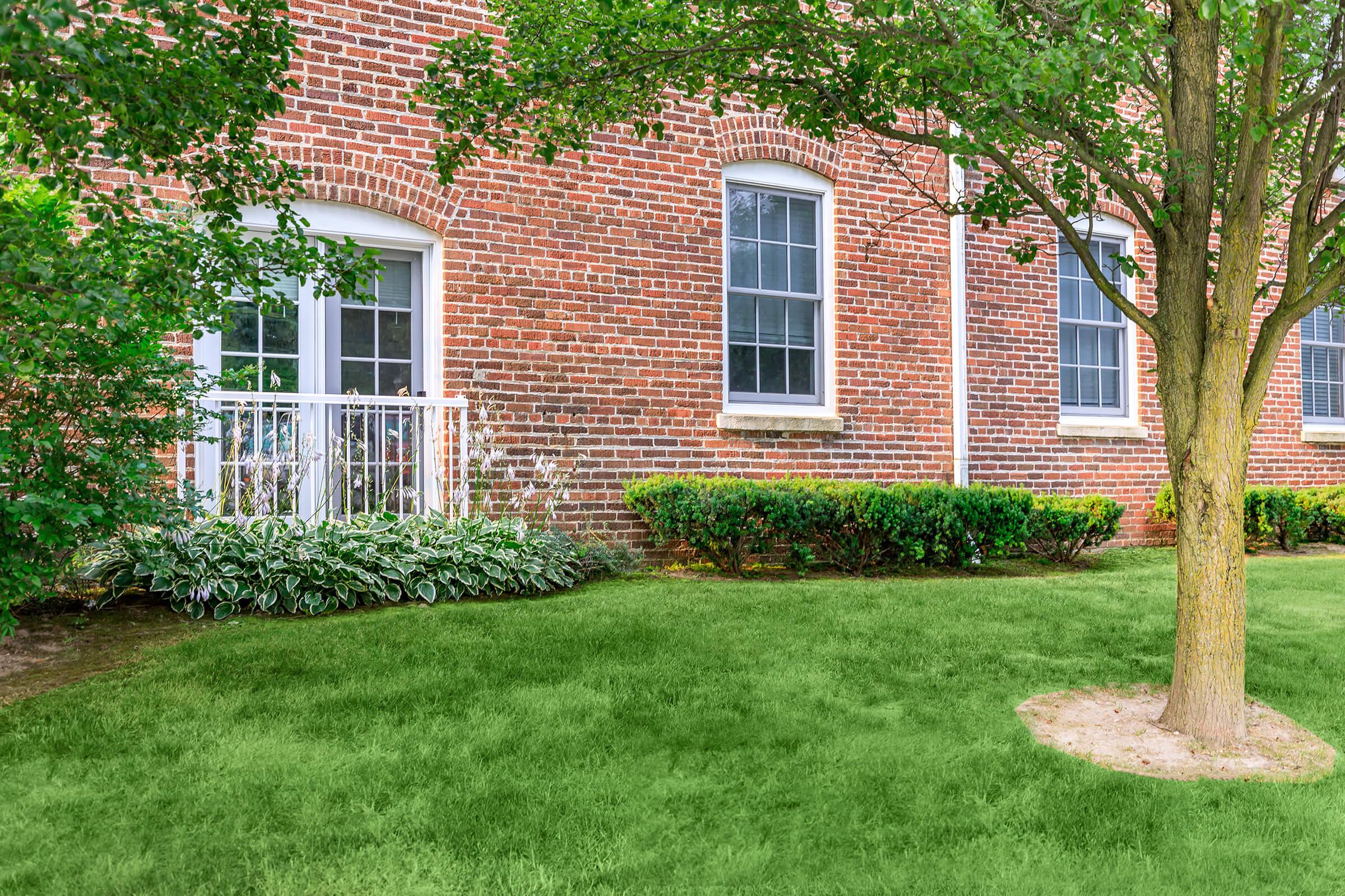 A brick wall with several windows beside a well-maintained grassy area and a small tree. Lush green shrubs and plants line the edge of the grass, creating a neat and inviting outdoor space.