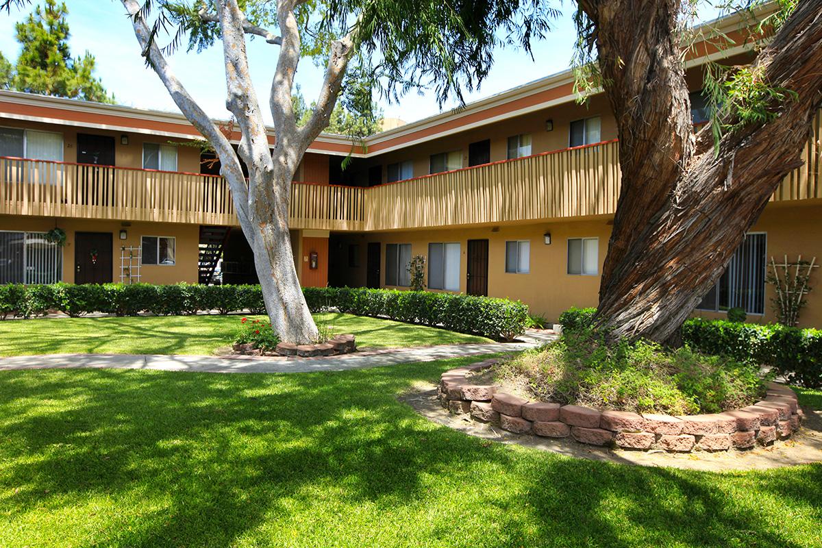 a tree in front of a house