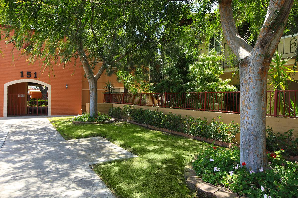 a tree in front of a building