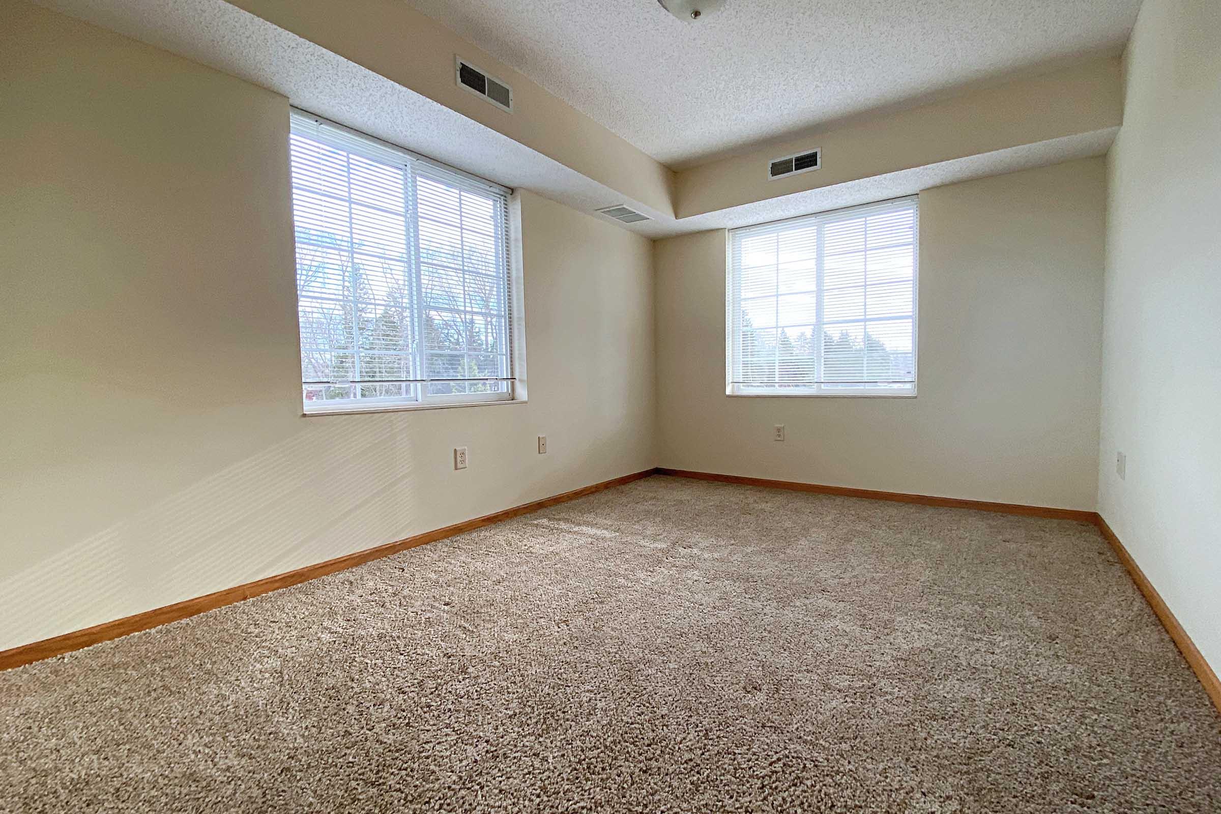 Empty room with light beige walls and a carpeted floor. Two windows allow natural light to fill the space, casting soft shadows. The ceiling is plain, and the overall atmosphere is bright and airy, creating a feeling of openness.
